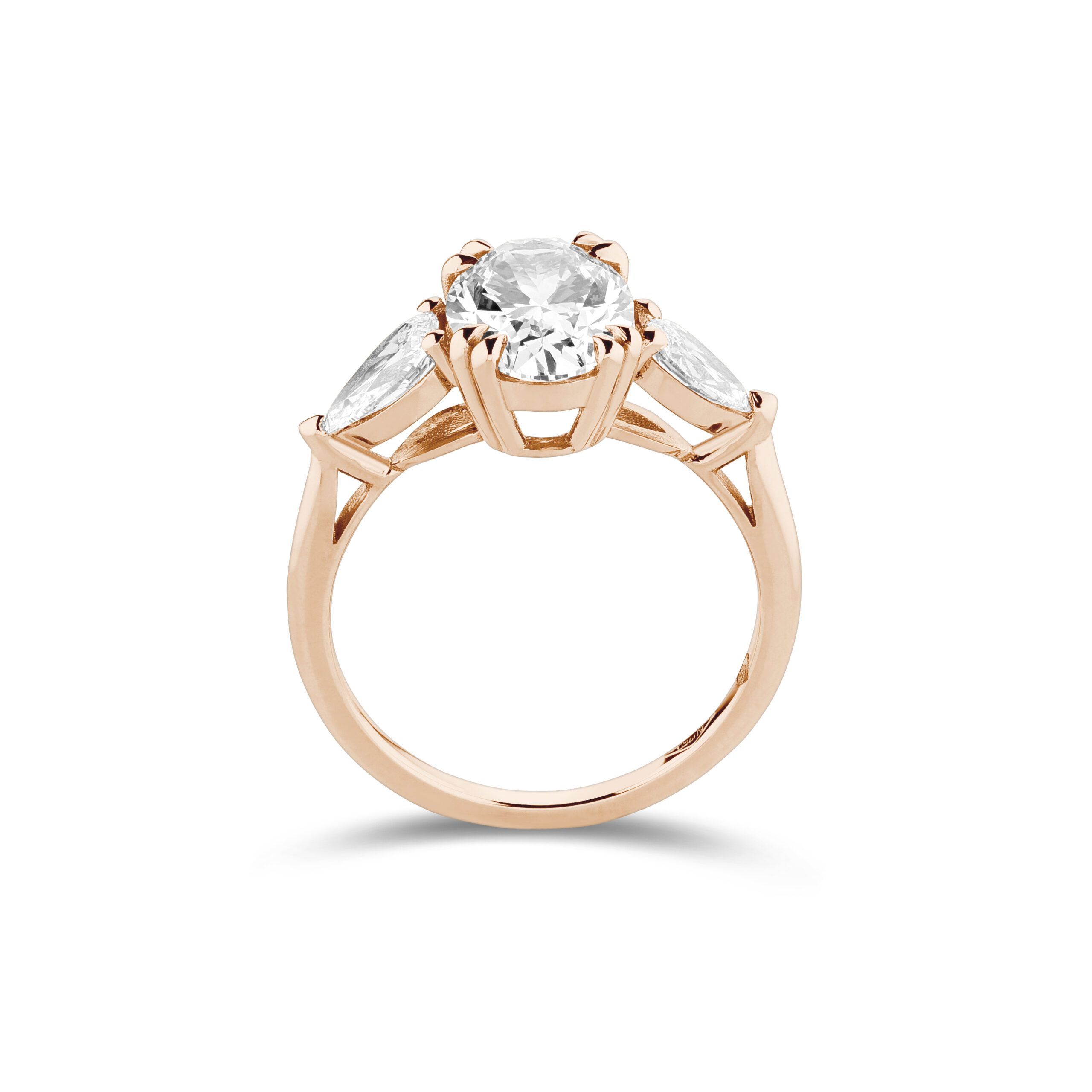 am3131_2 Rose