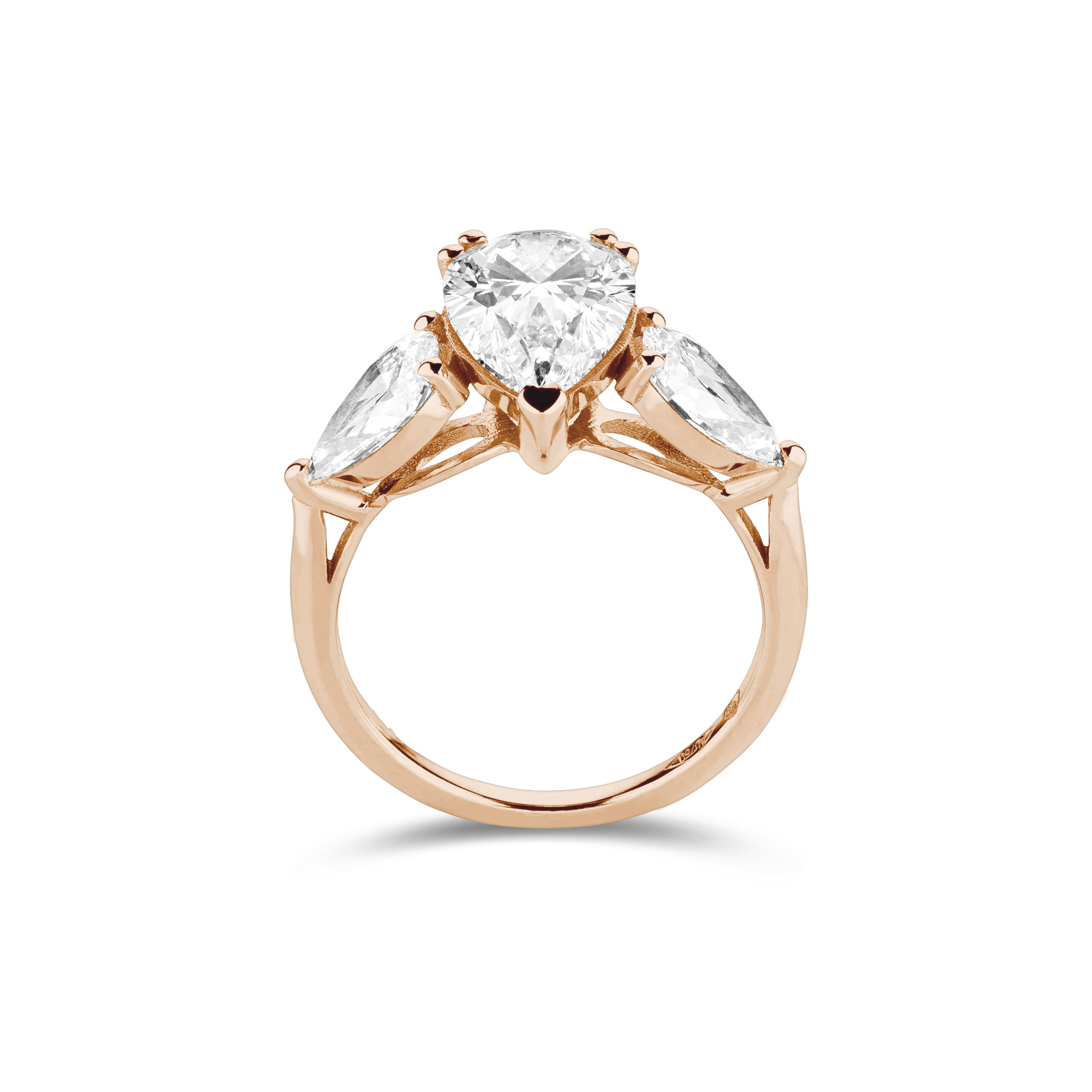 am3132_2 Rose