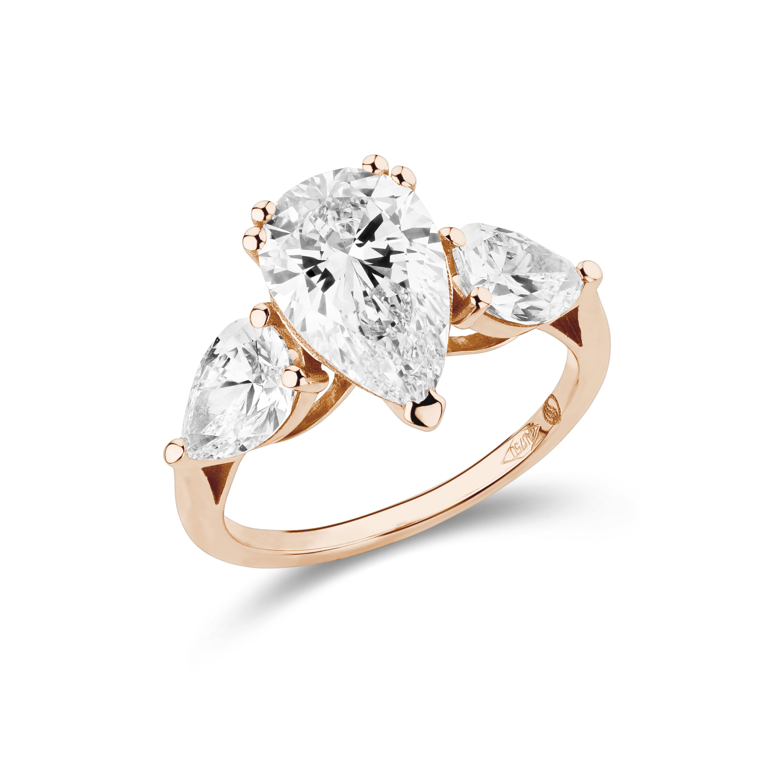 am3132_3 Rose
