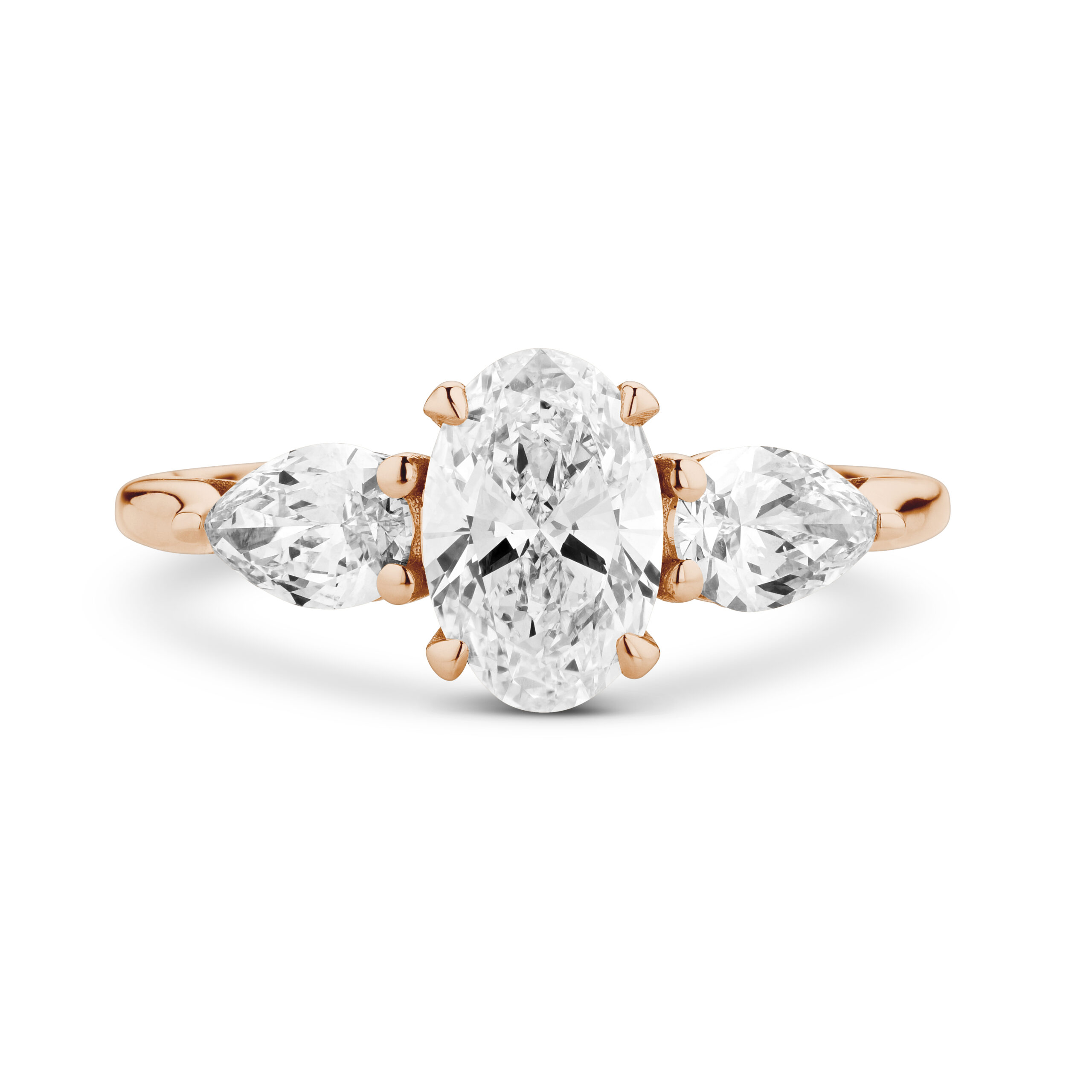 am3137 Rose
