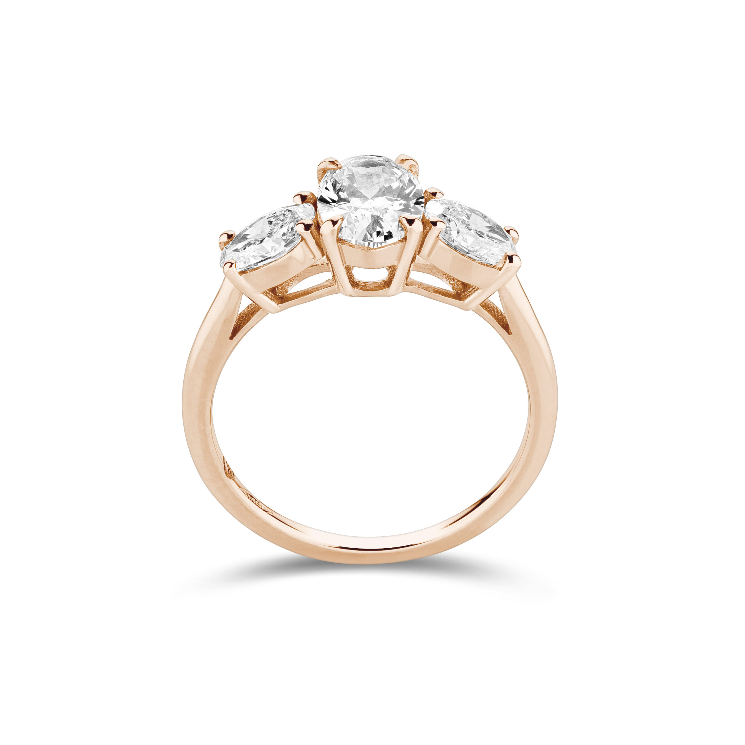 am3138_2 Rose
