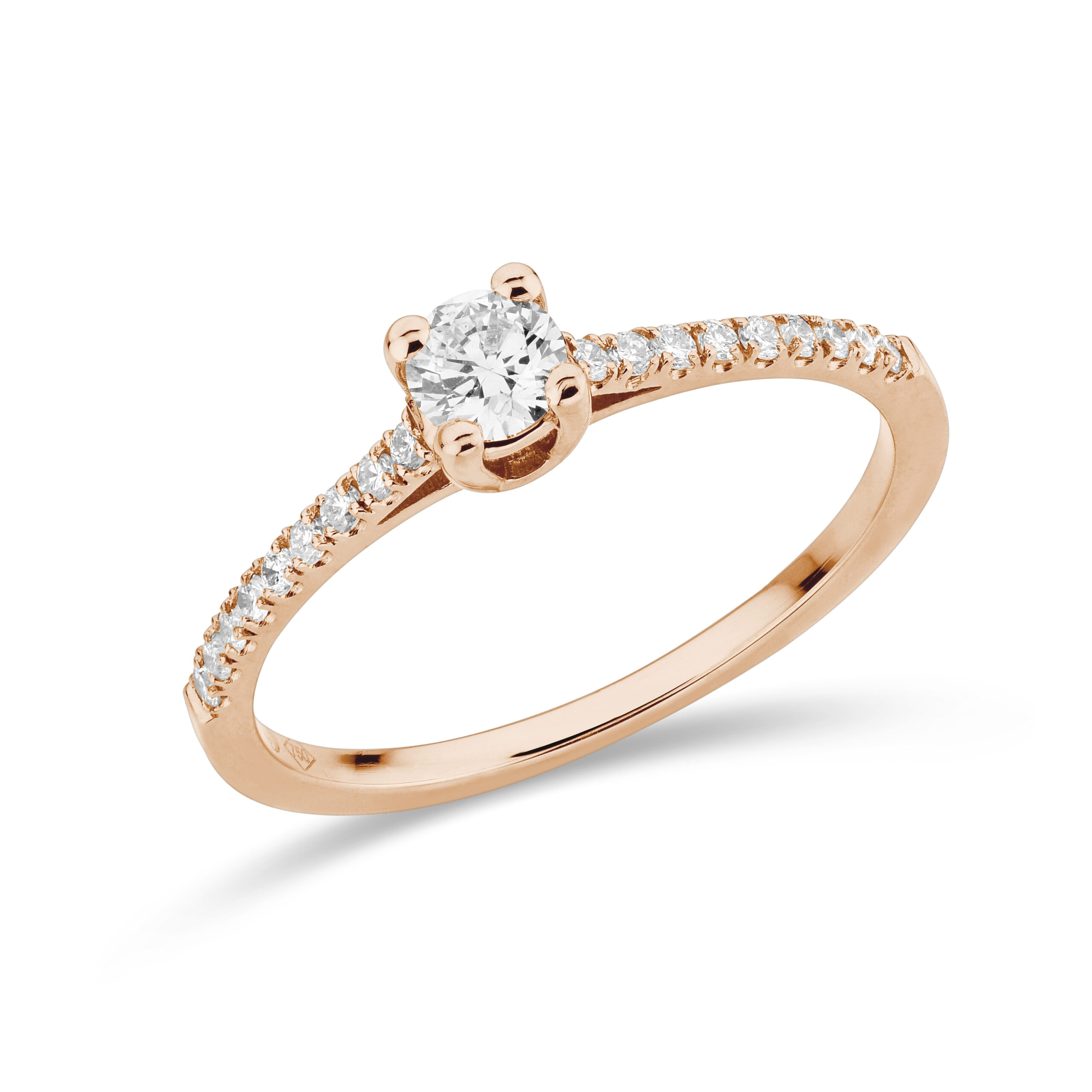 sd3002 Rose