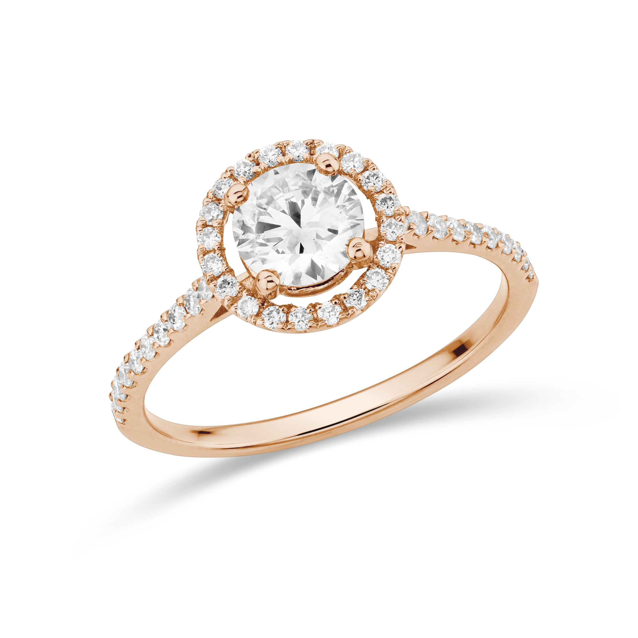 sd3004 Rose