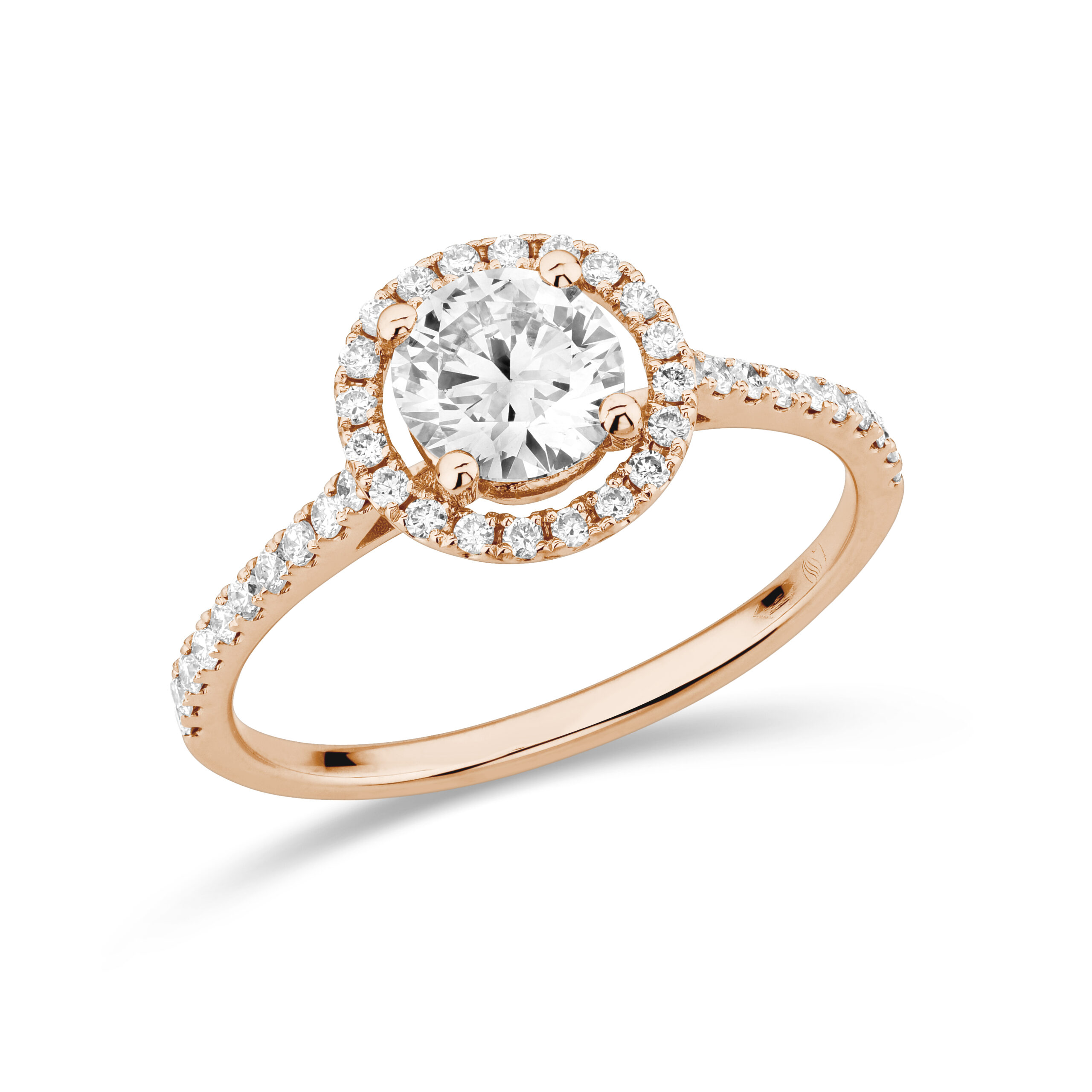 sd3006 Rose