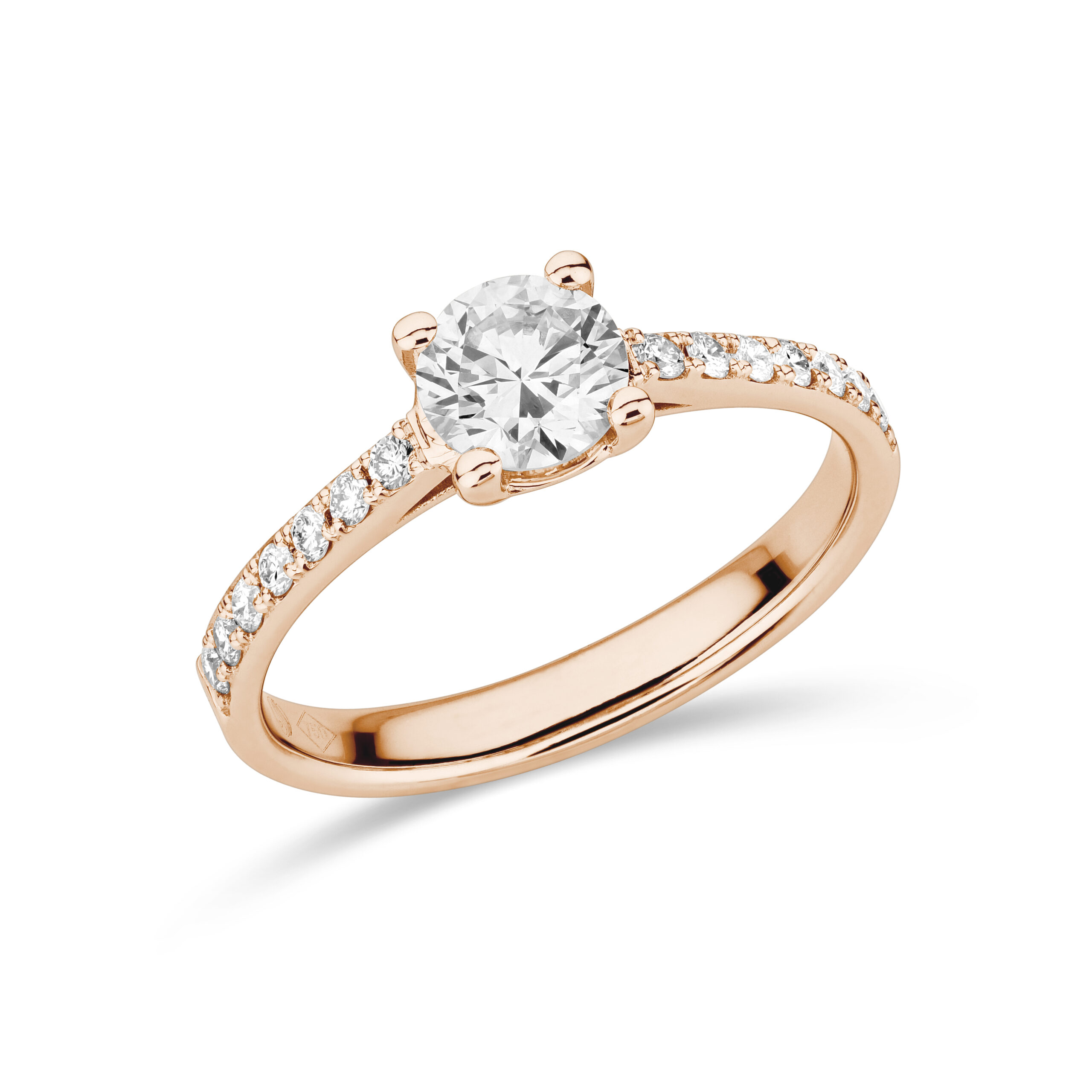 sd3009 Rose