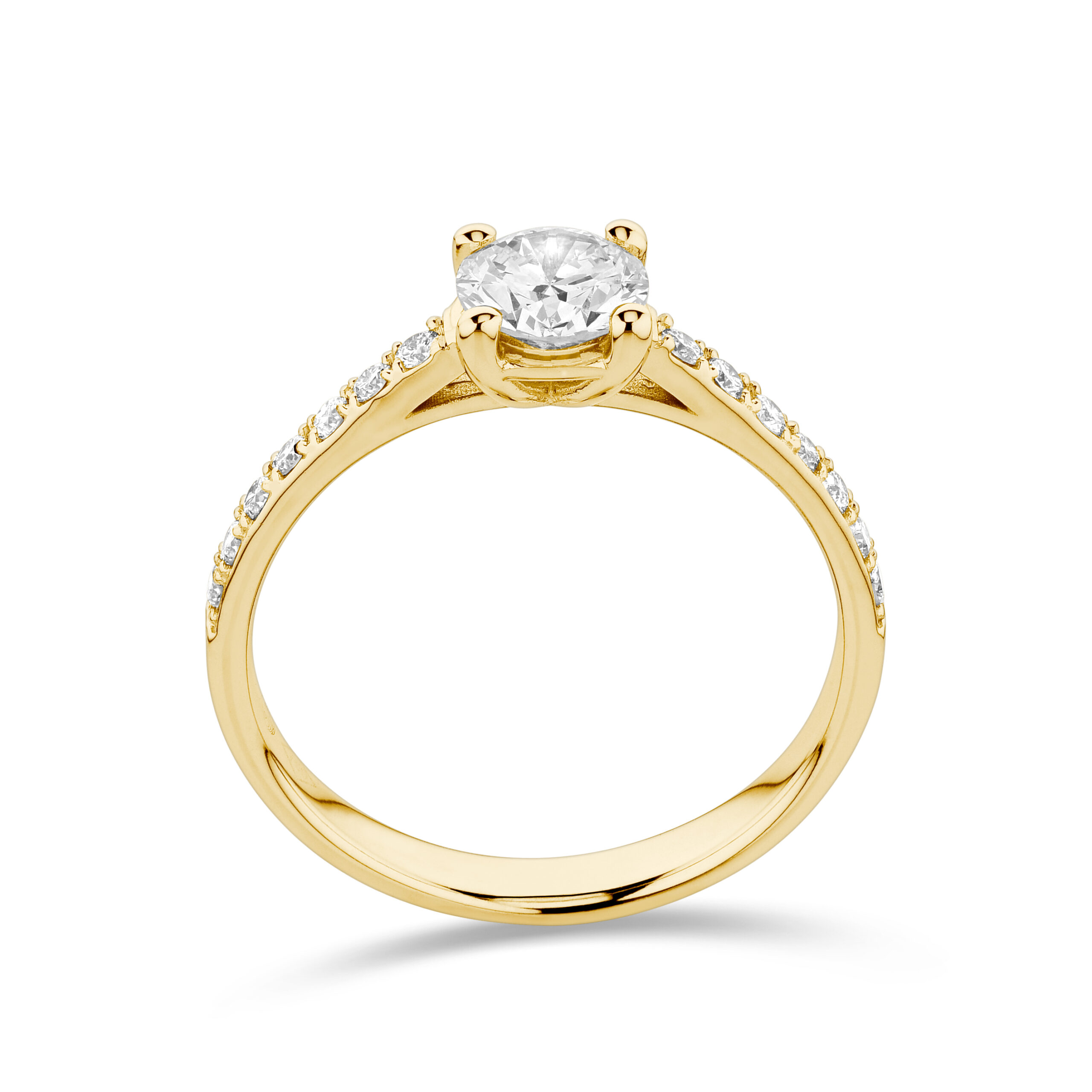 sd3009_2 yellow