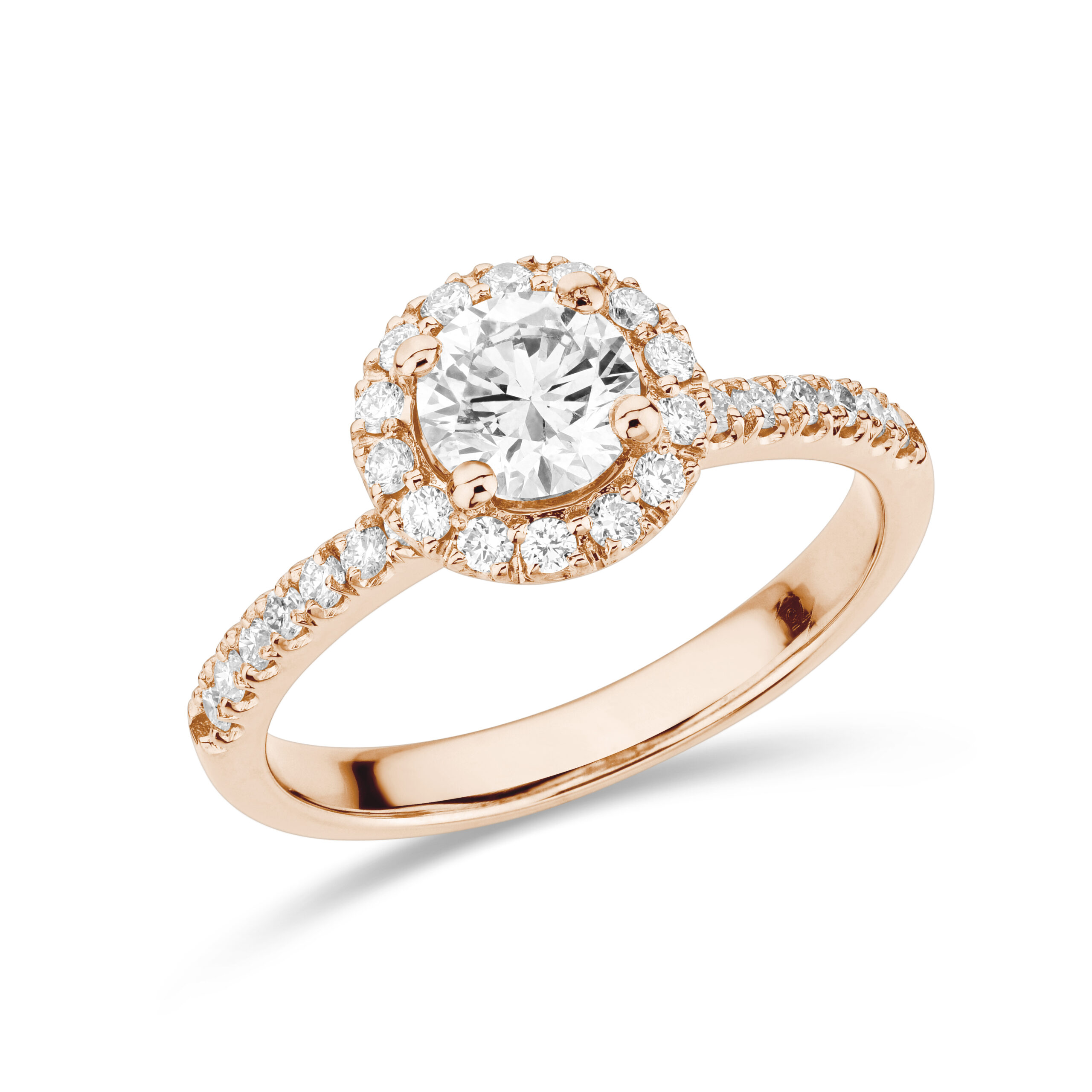 sd3011 Rose