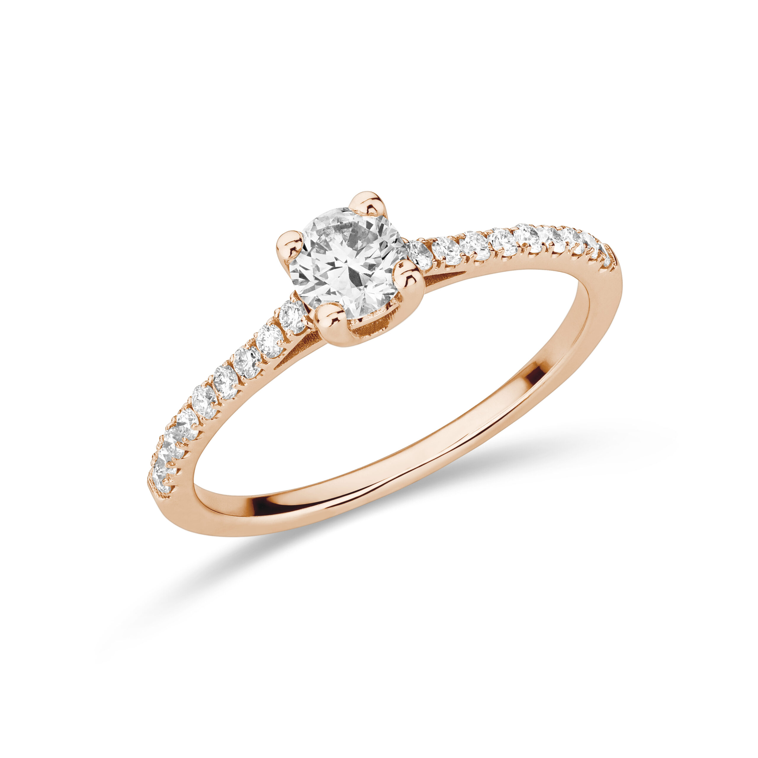 sd3018 Rose