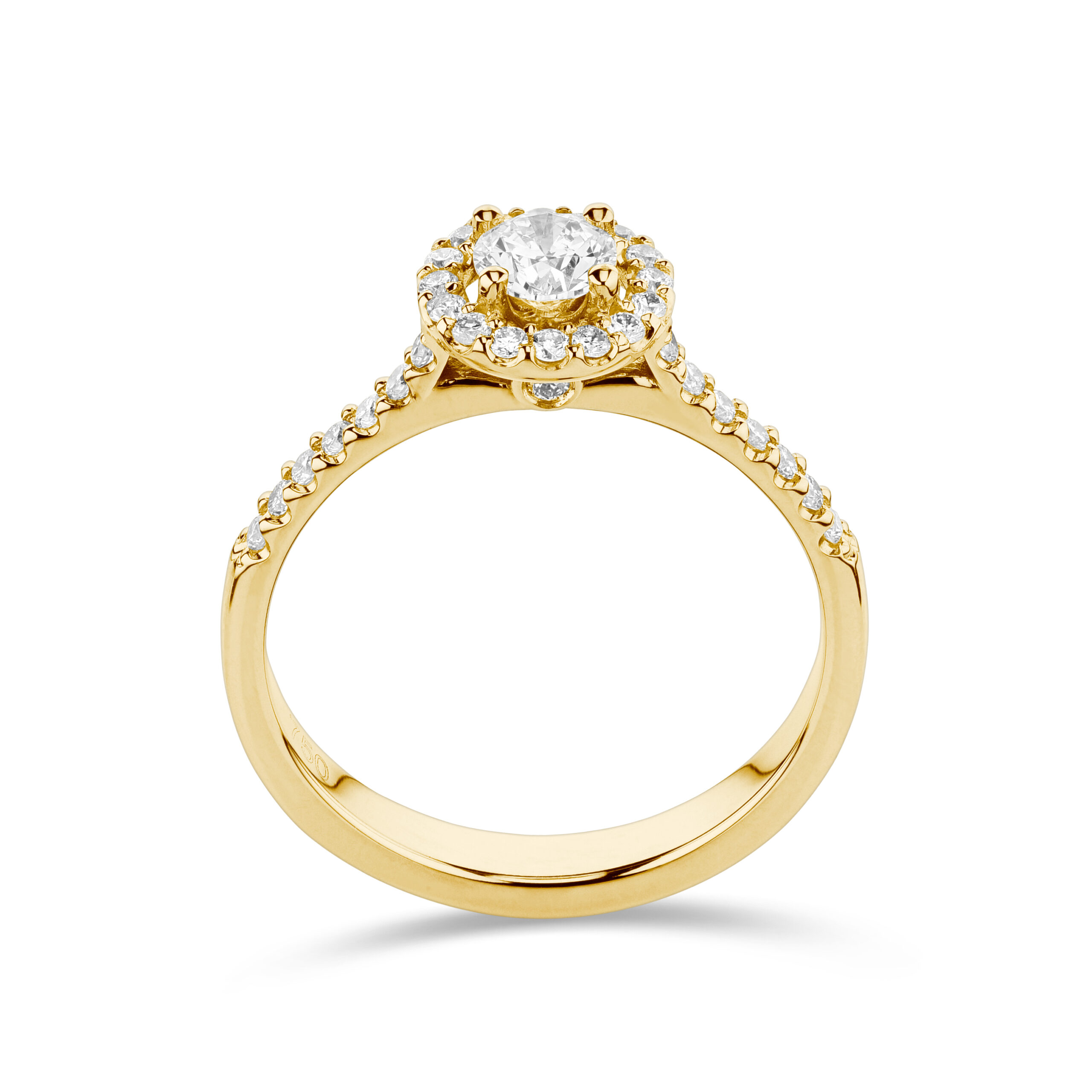 sd3024_2 yellow