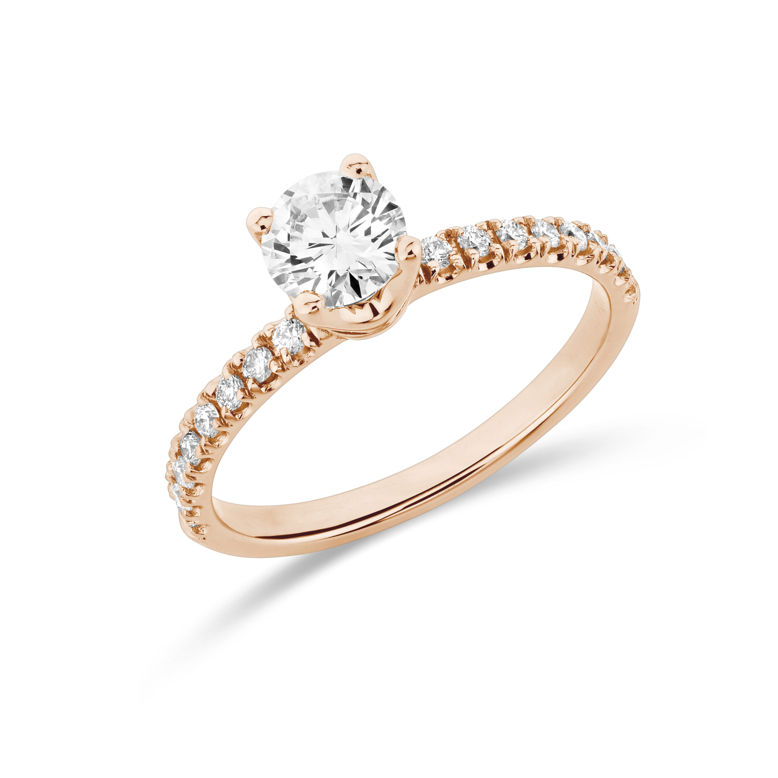 sd3025 Rose (1)
