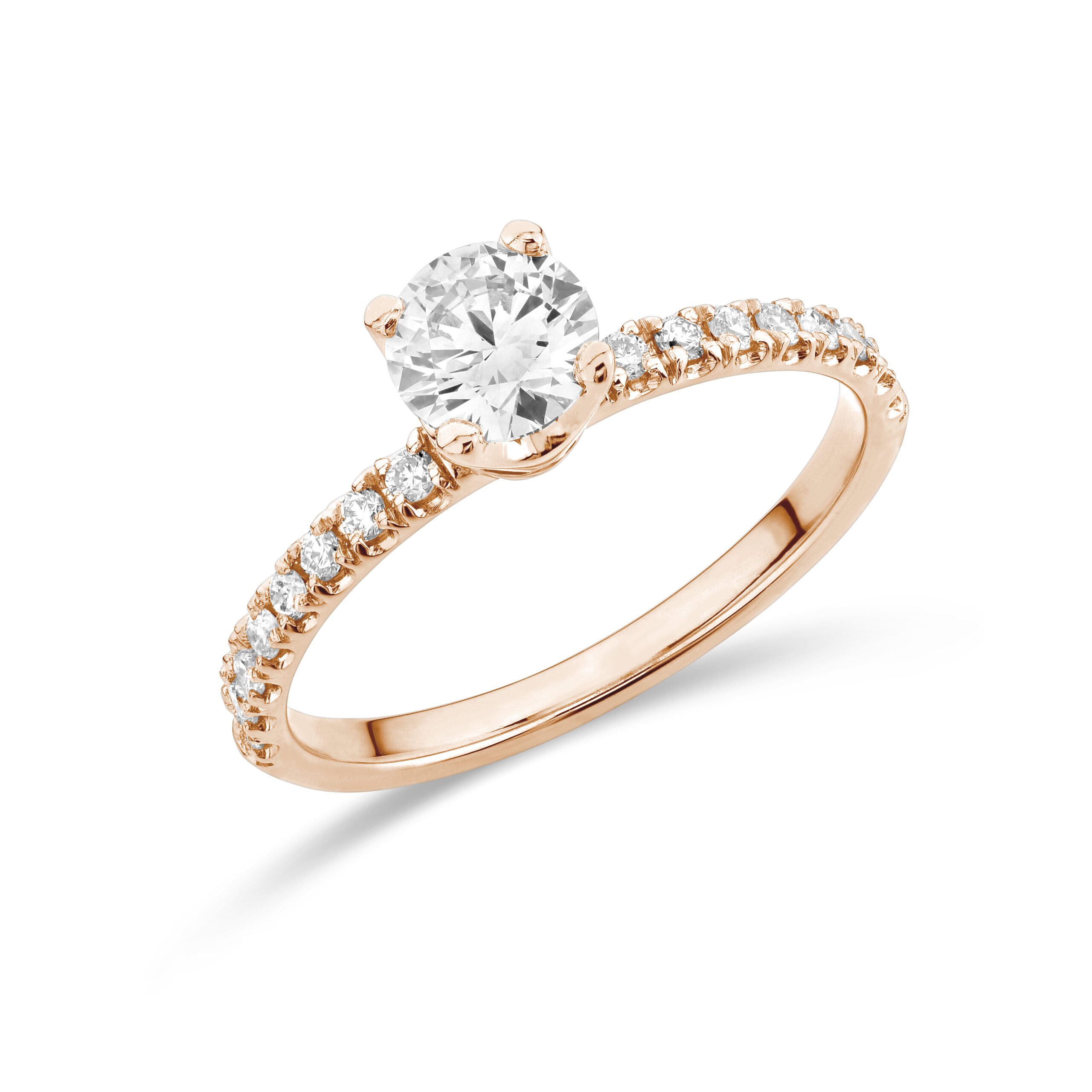 sd3026 Rose