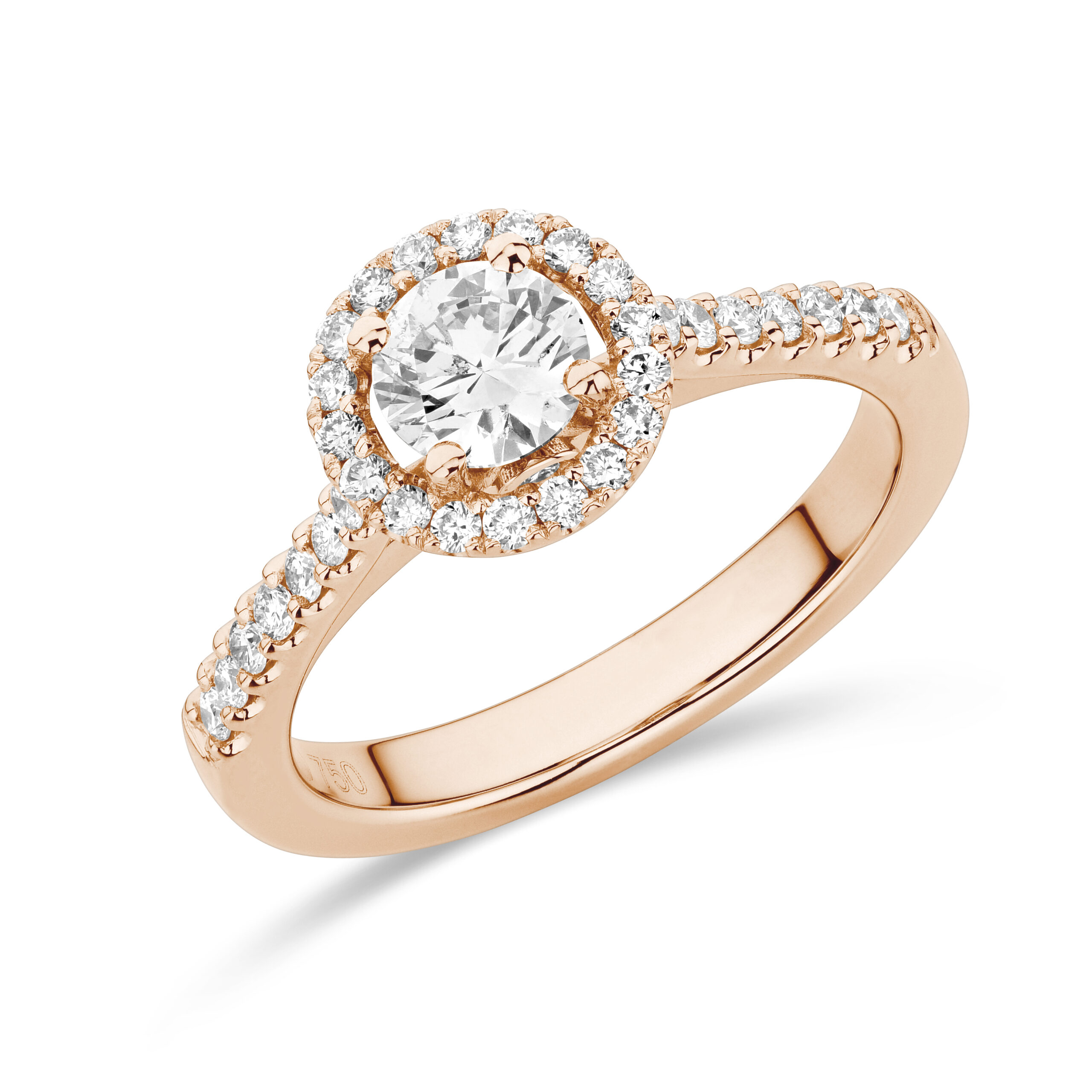 sd3029 Rose