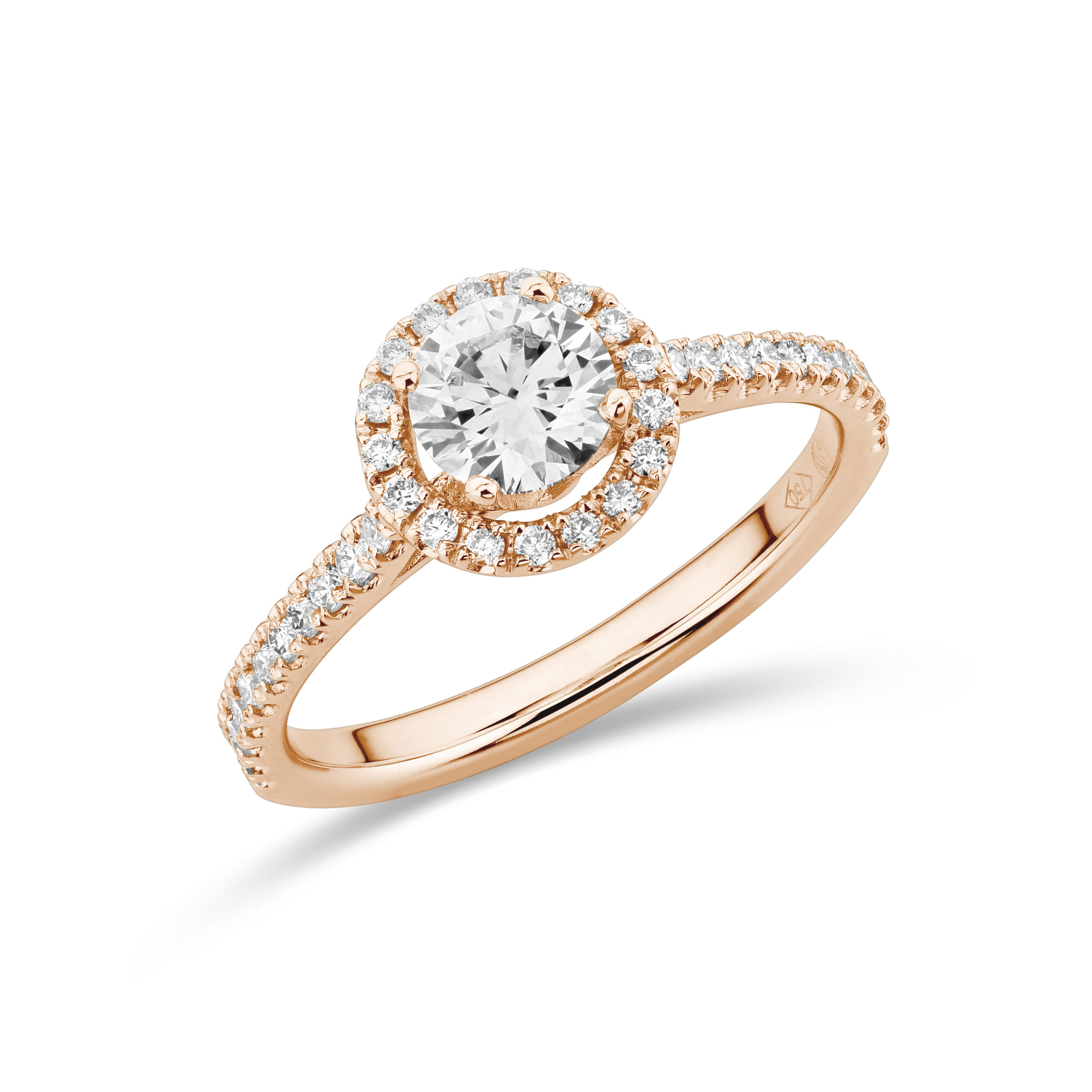 sd3035 Rose
