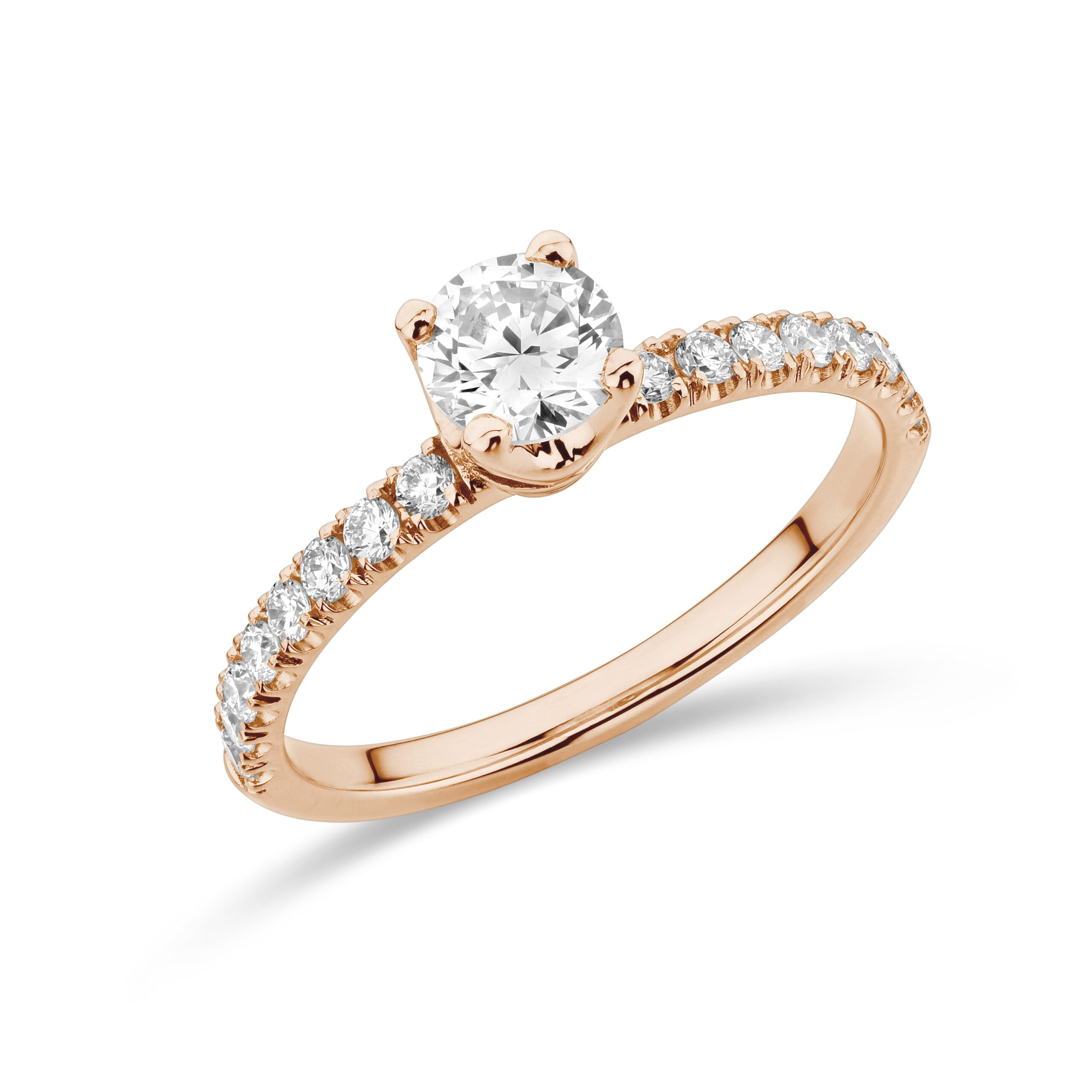 sd3036 Rose