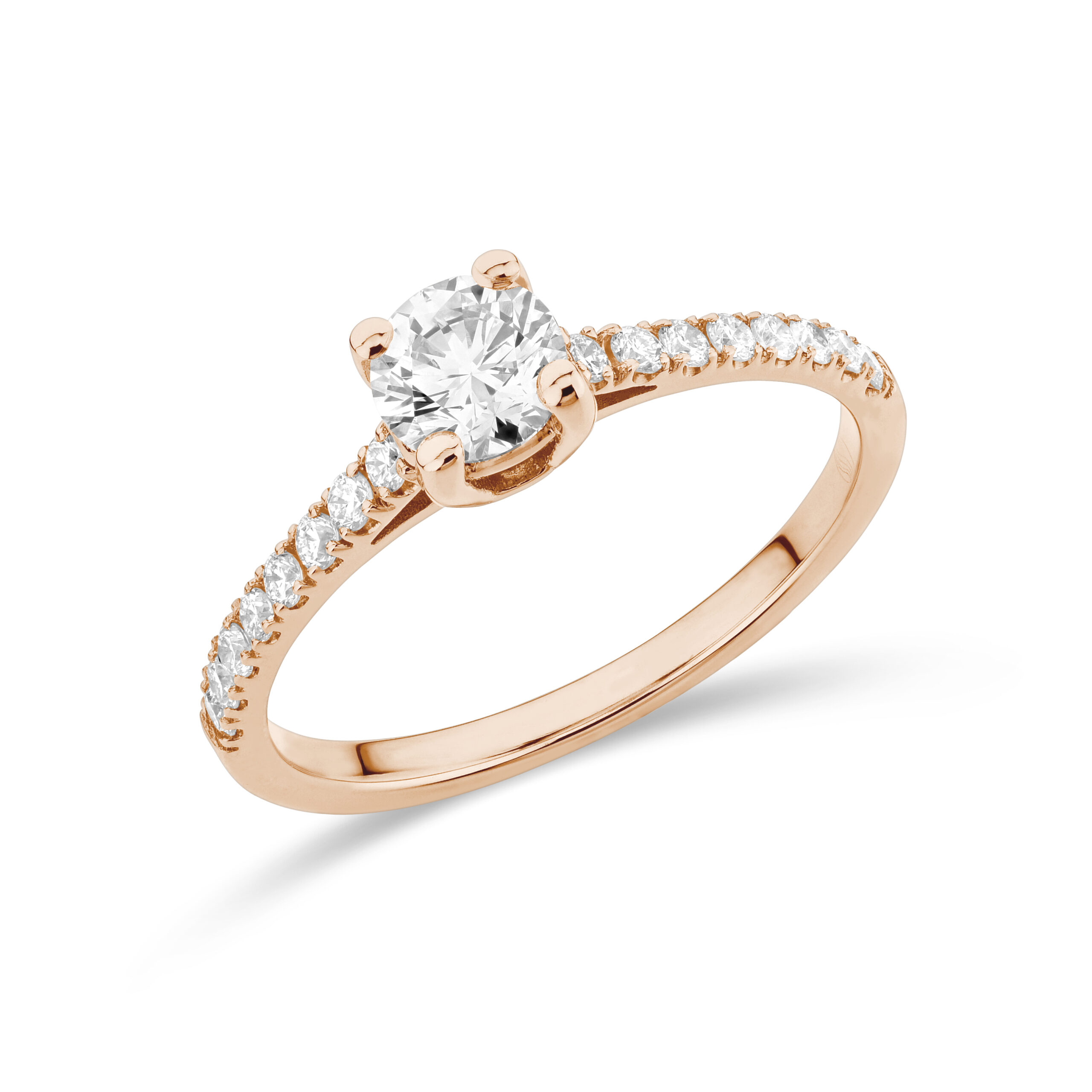 sd3038 Rose