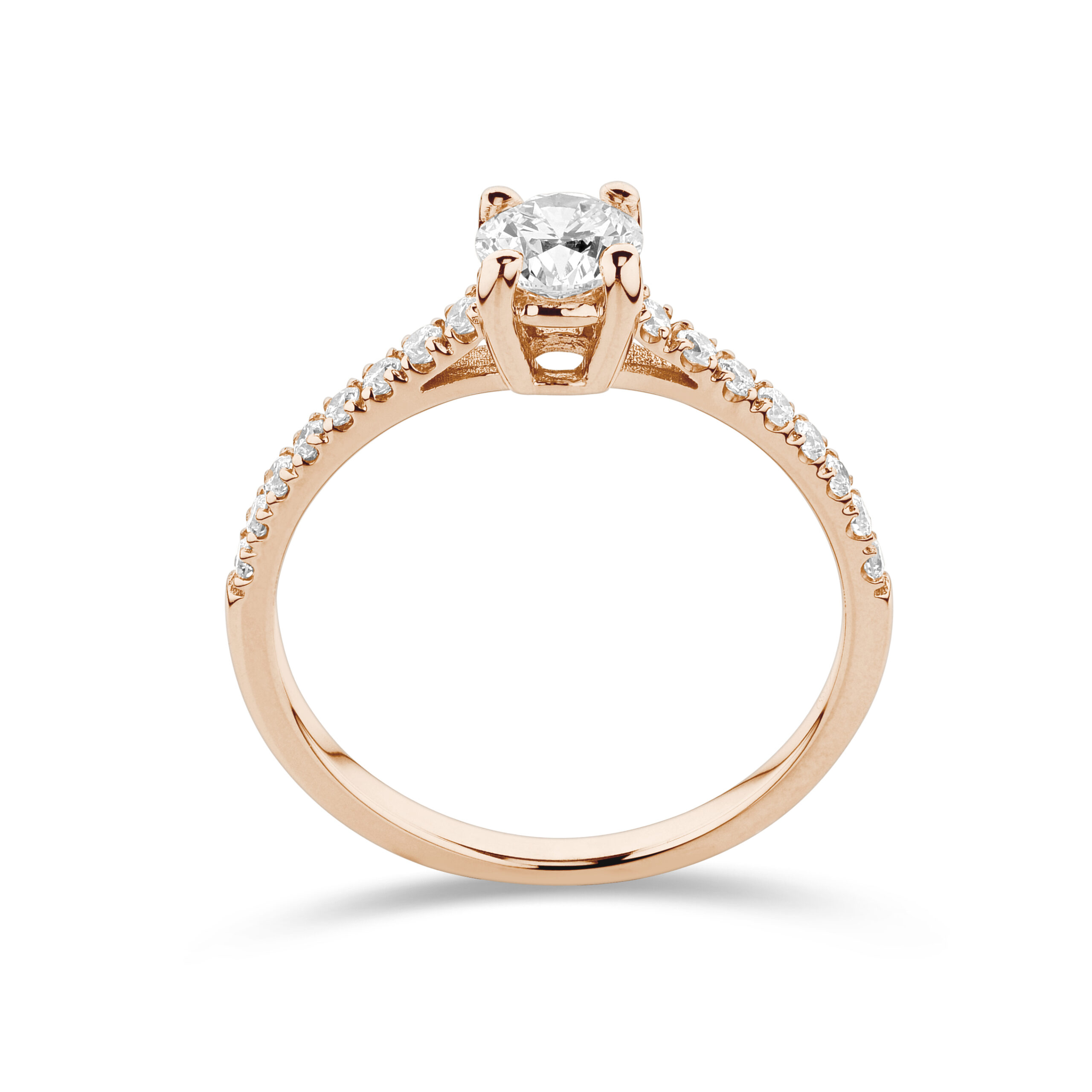 sd3038_2 Rose