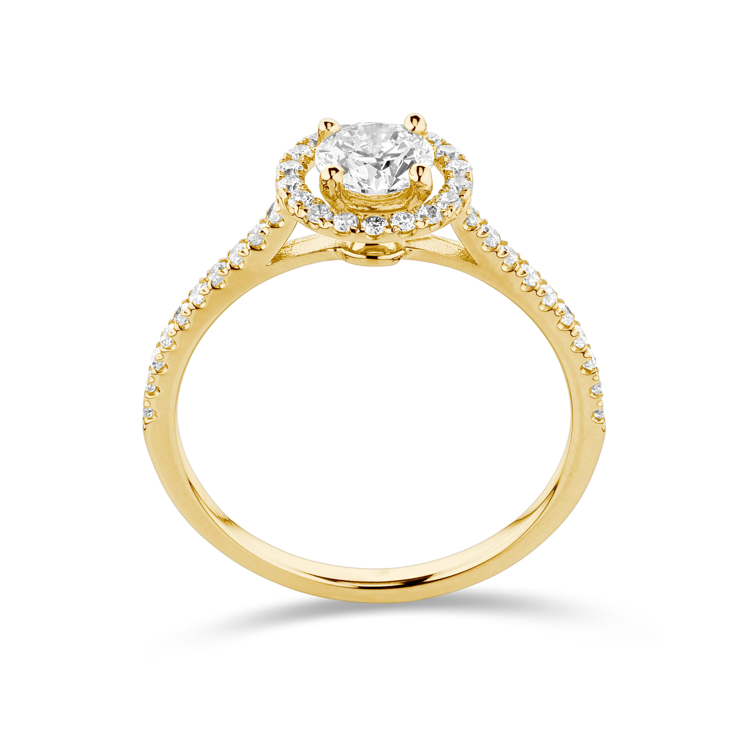 sd3039_2 yellow