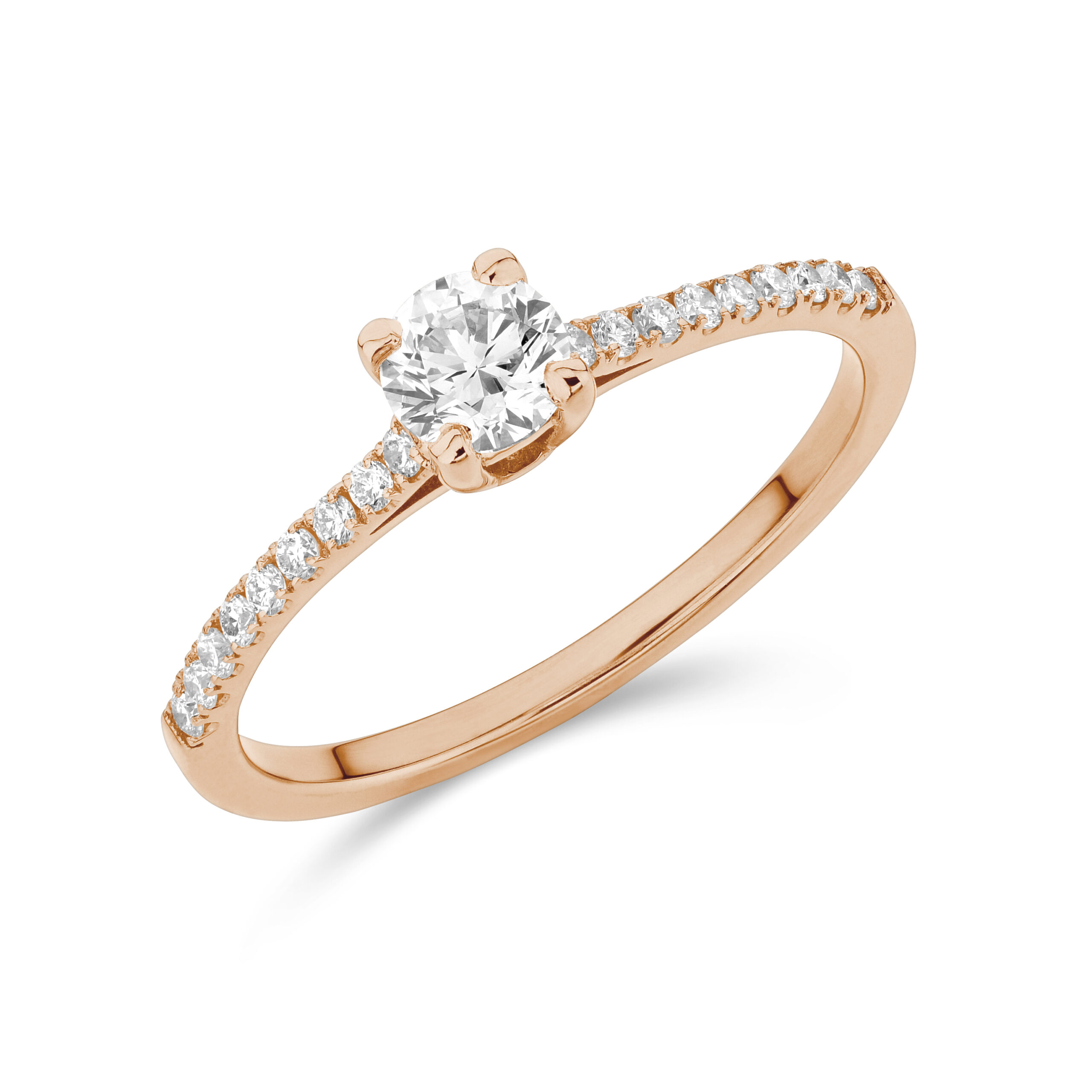 sd3058 Rose