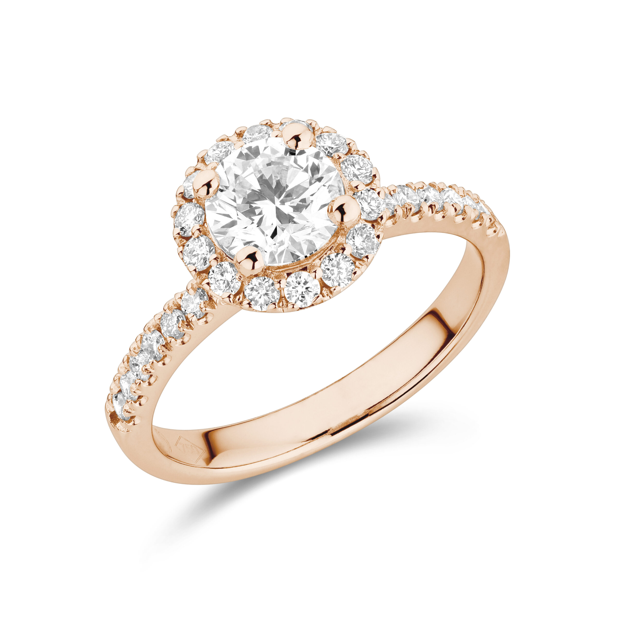 sd3067 Rose
