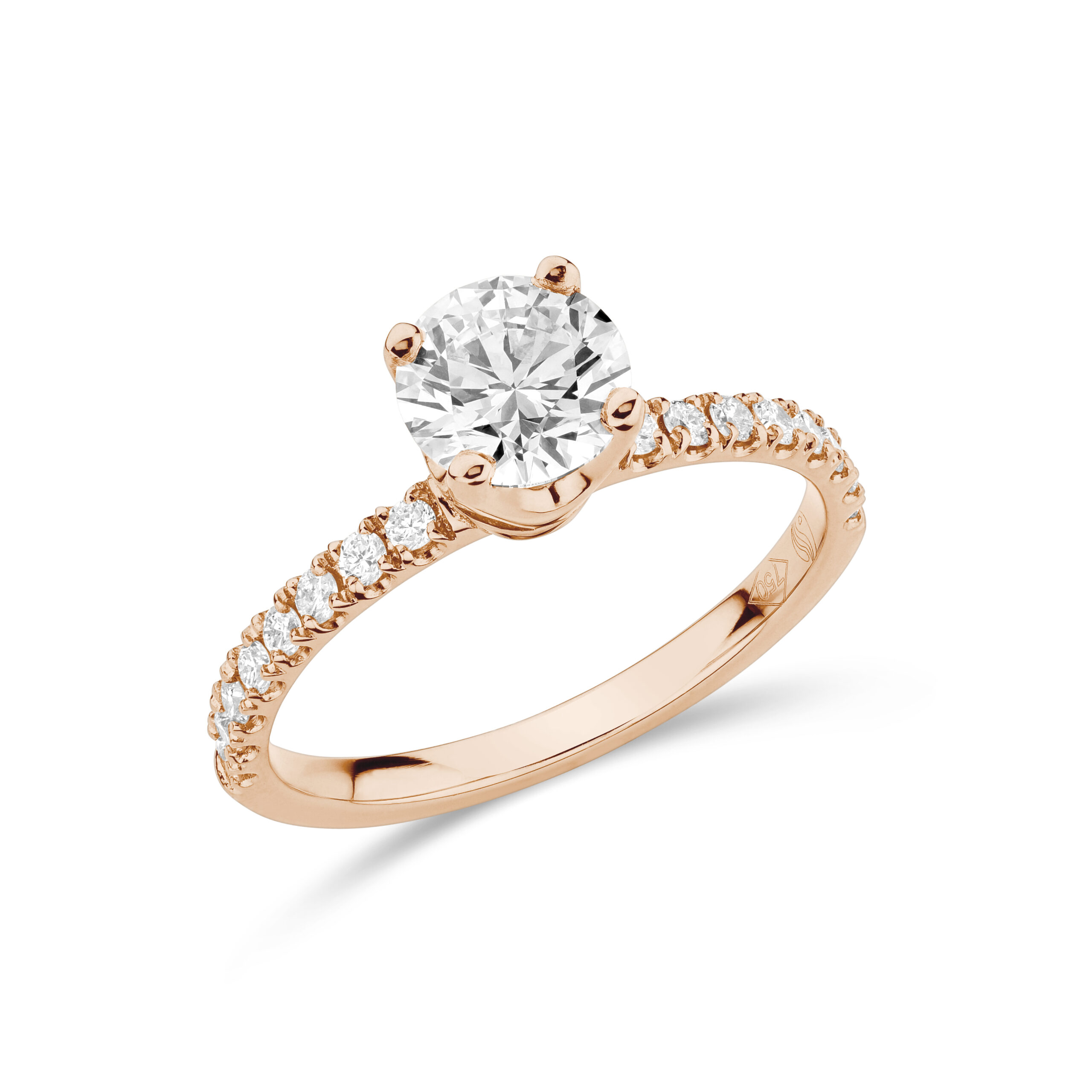 sd3085 Rose