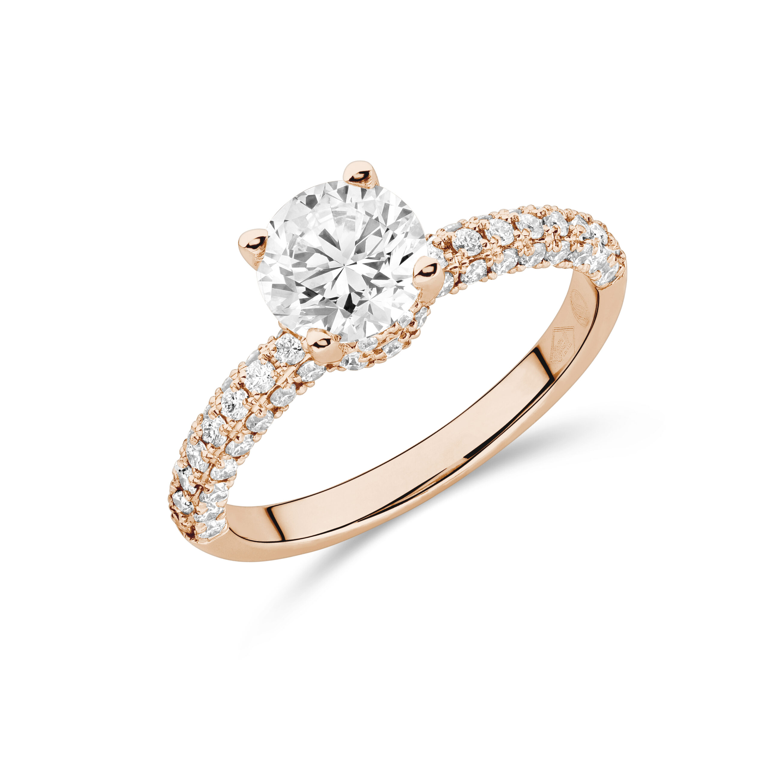 sd3086 Rose
