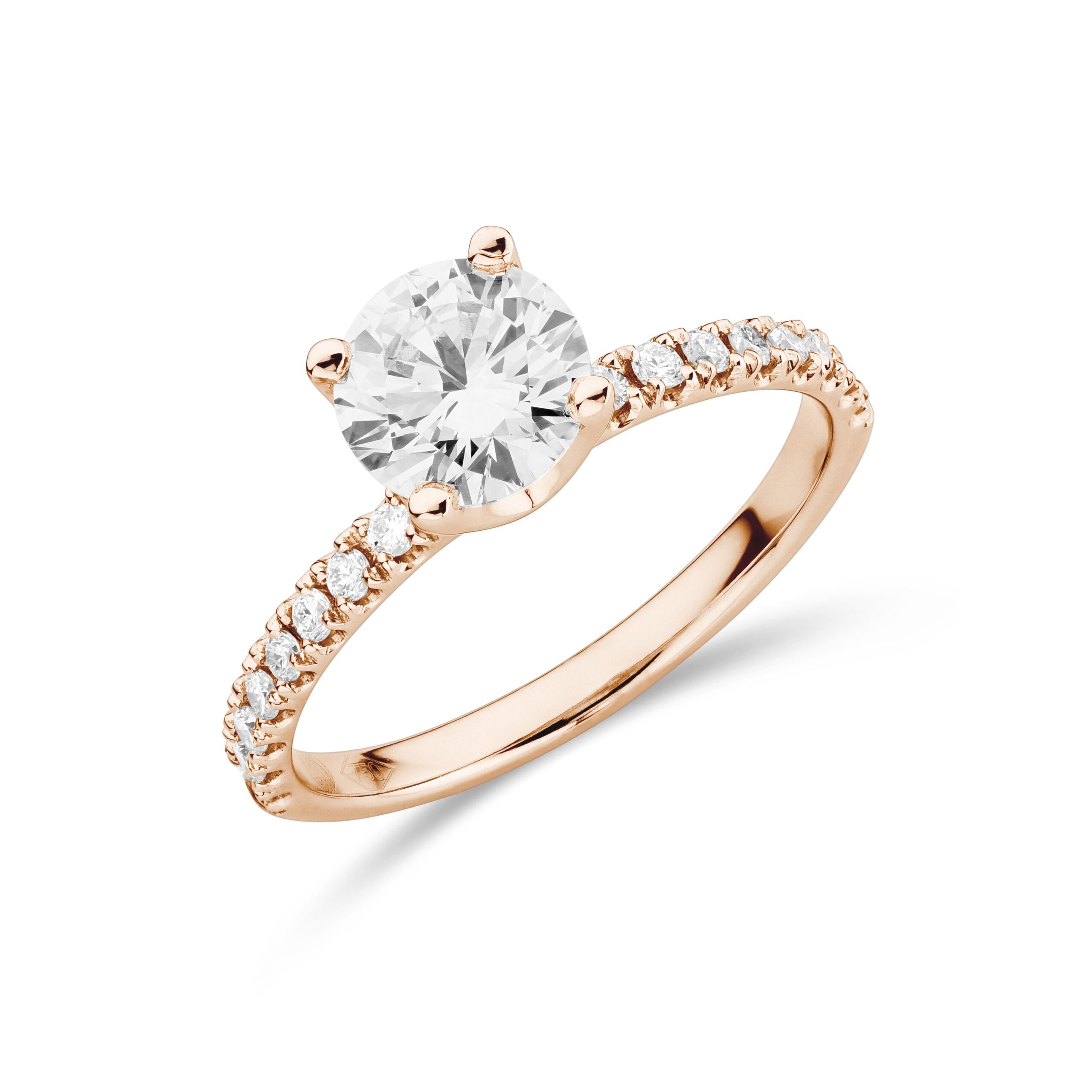 sd3090 Rose