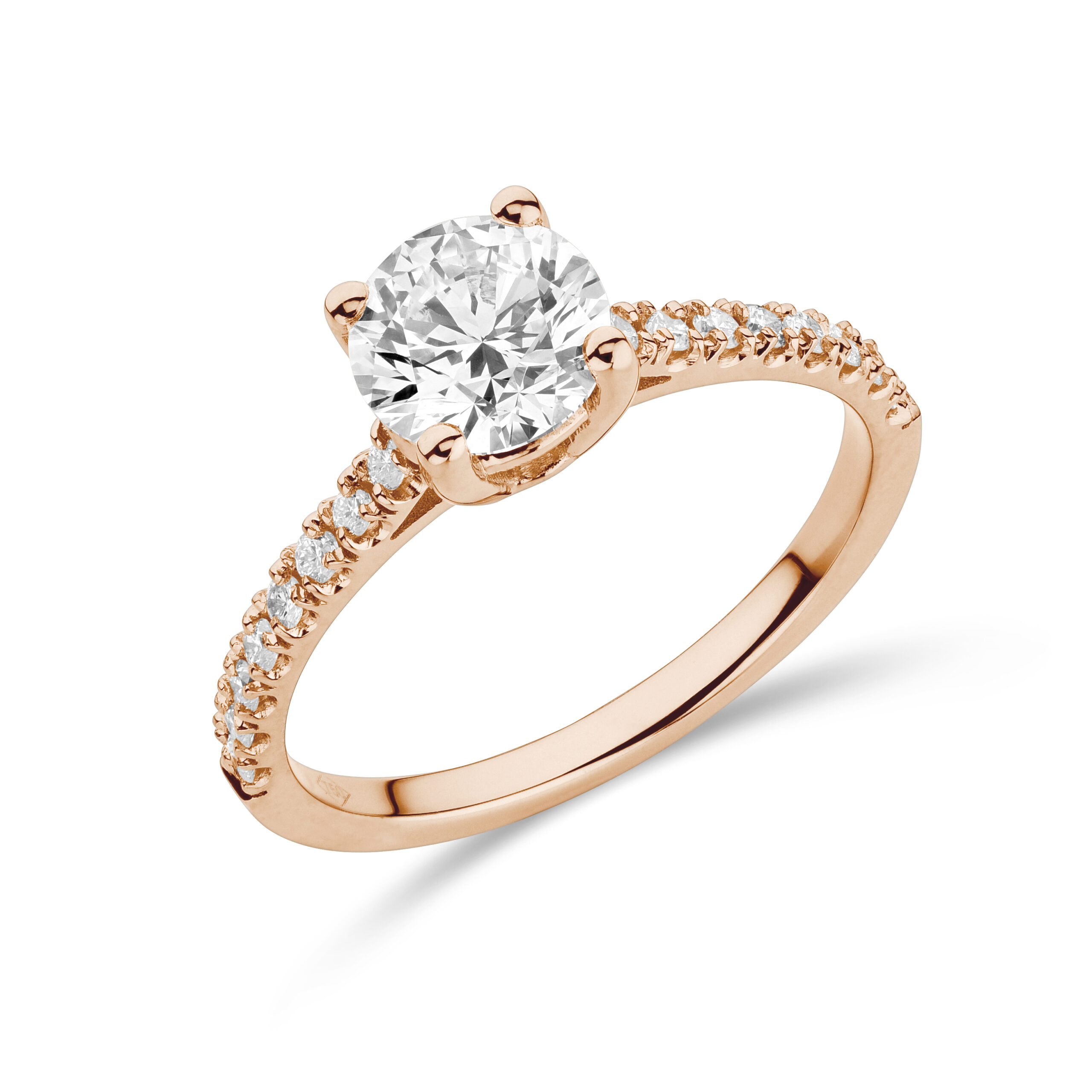 sd3093 Rose