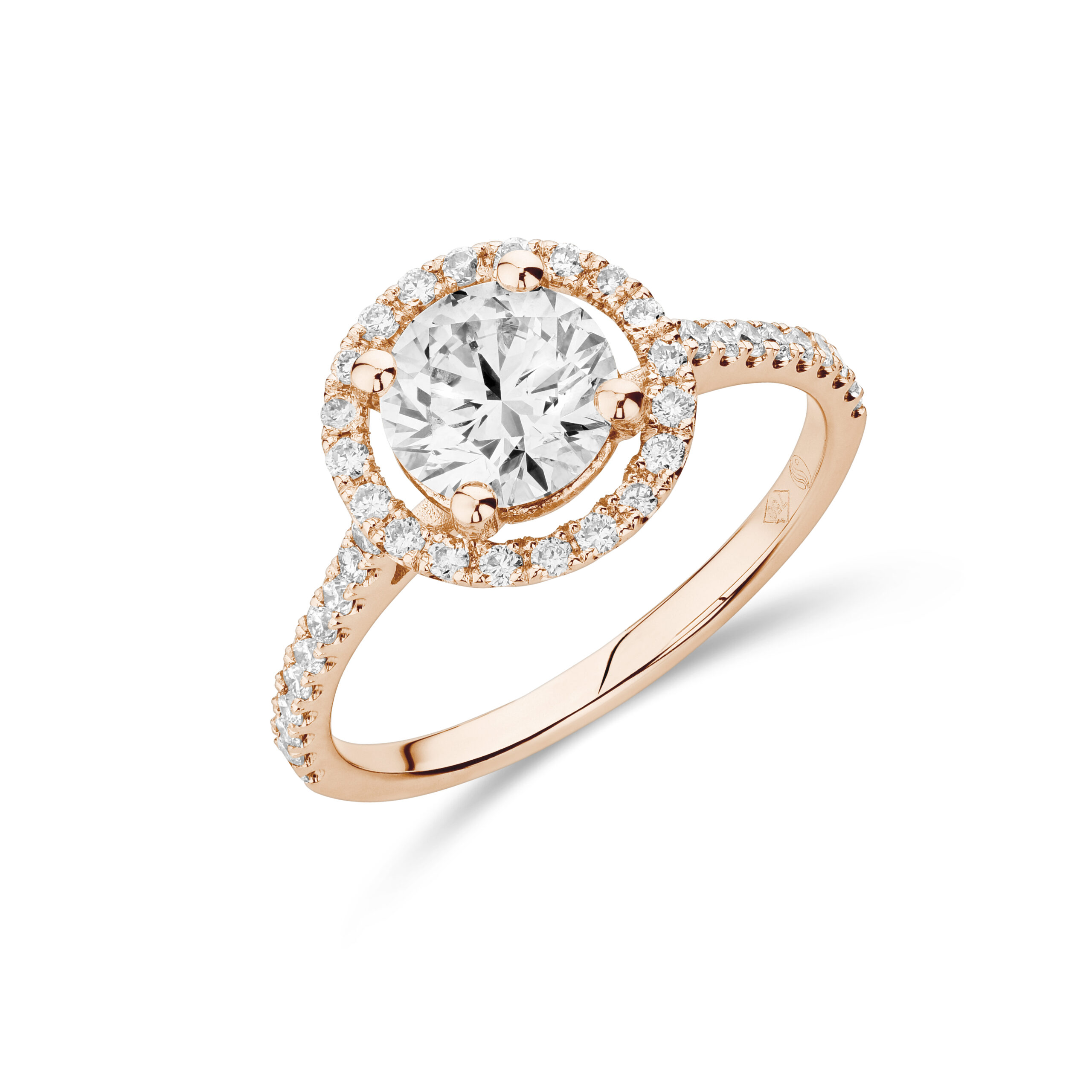 sd3095 Rose (1)