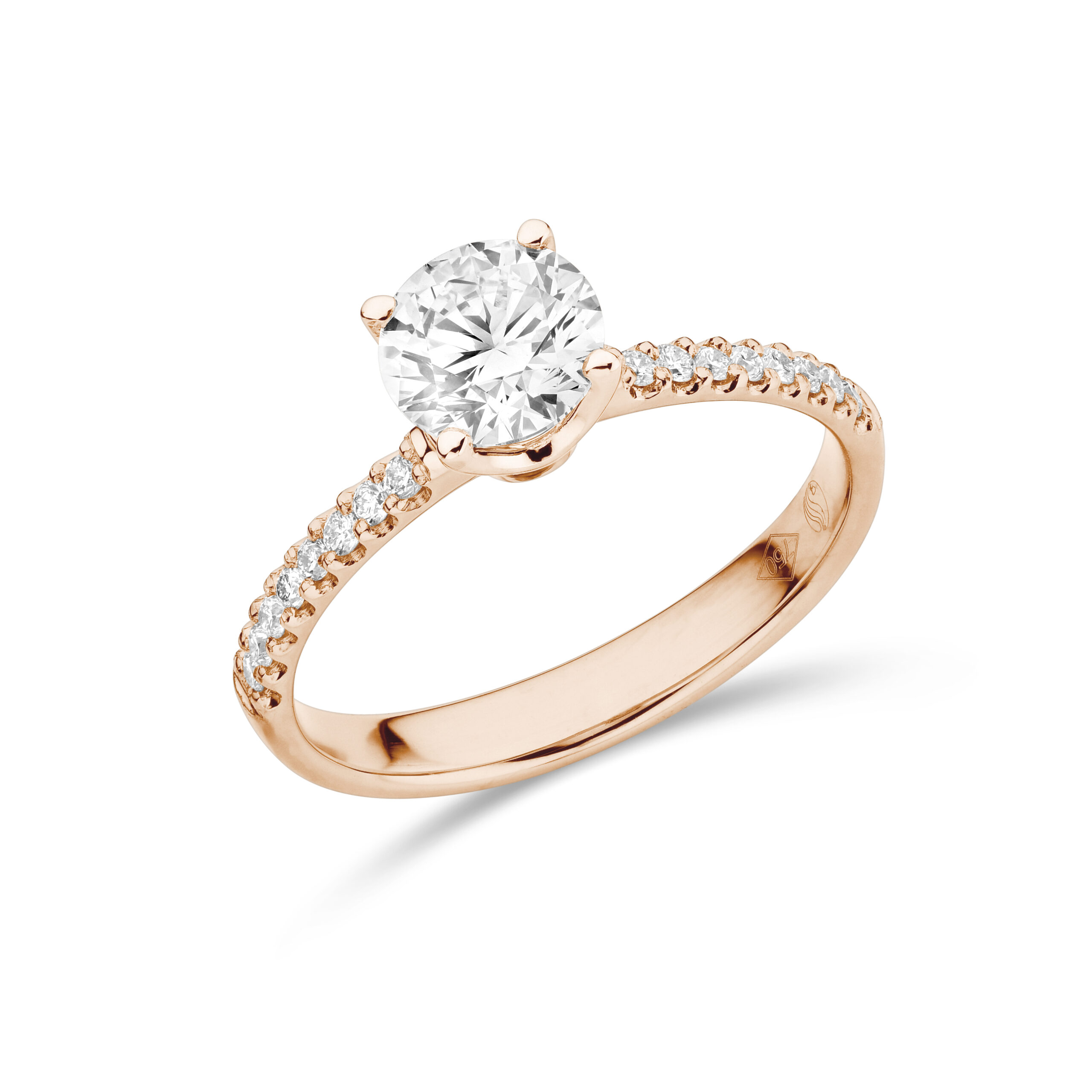 sd3098 Rose