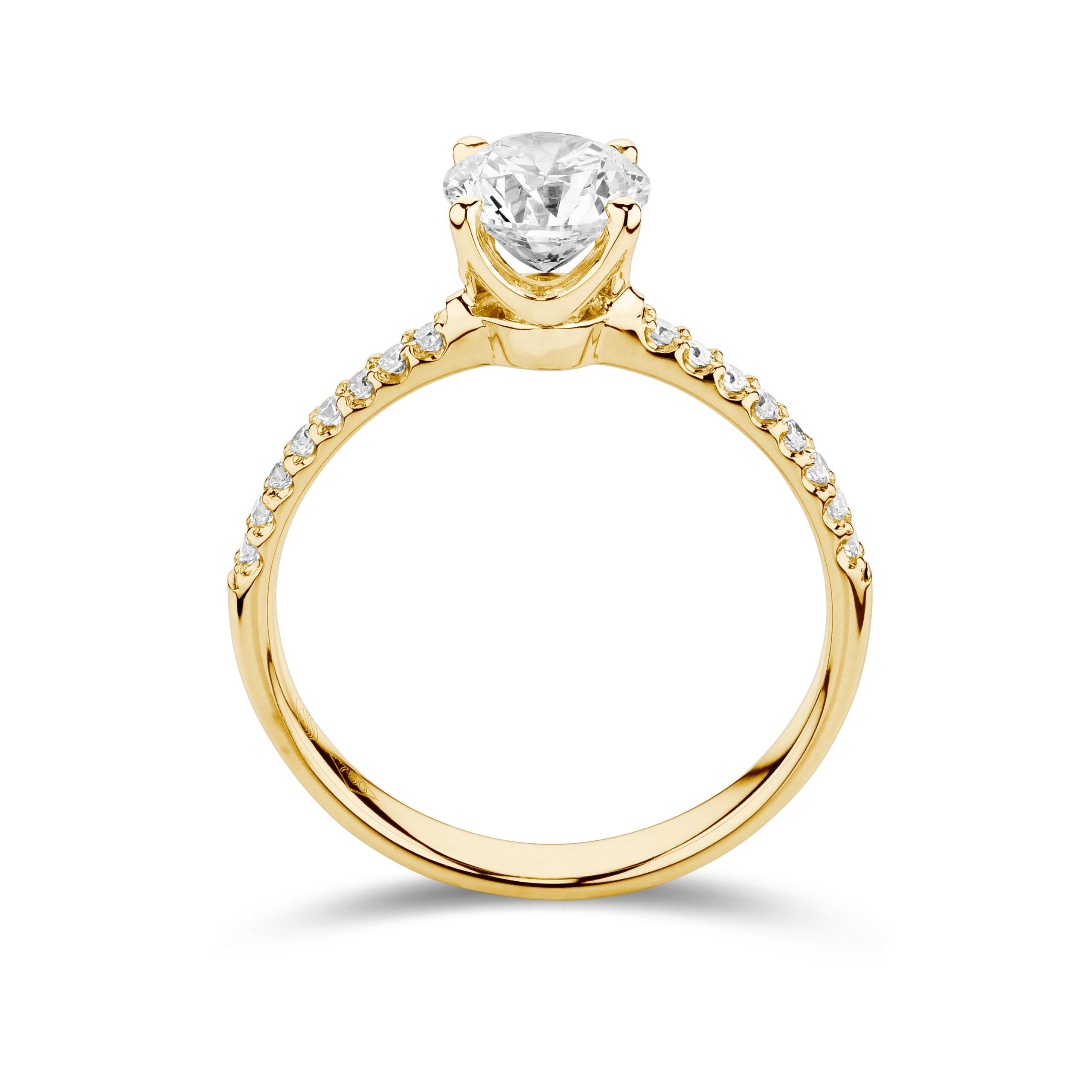 sd3098_2 yellow