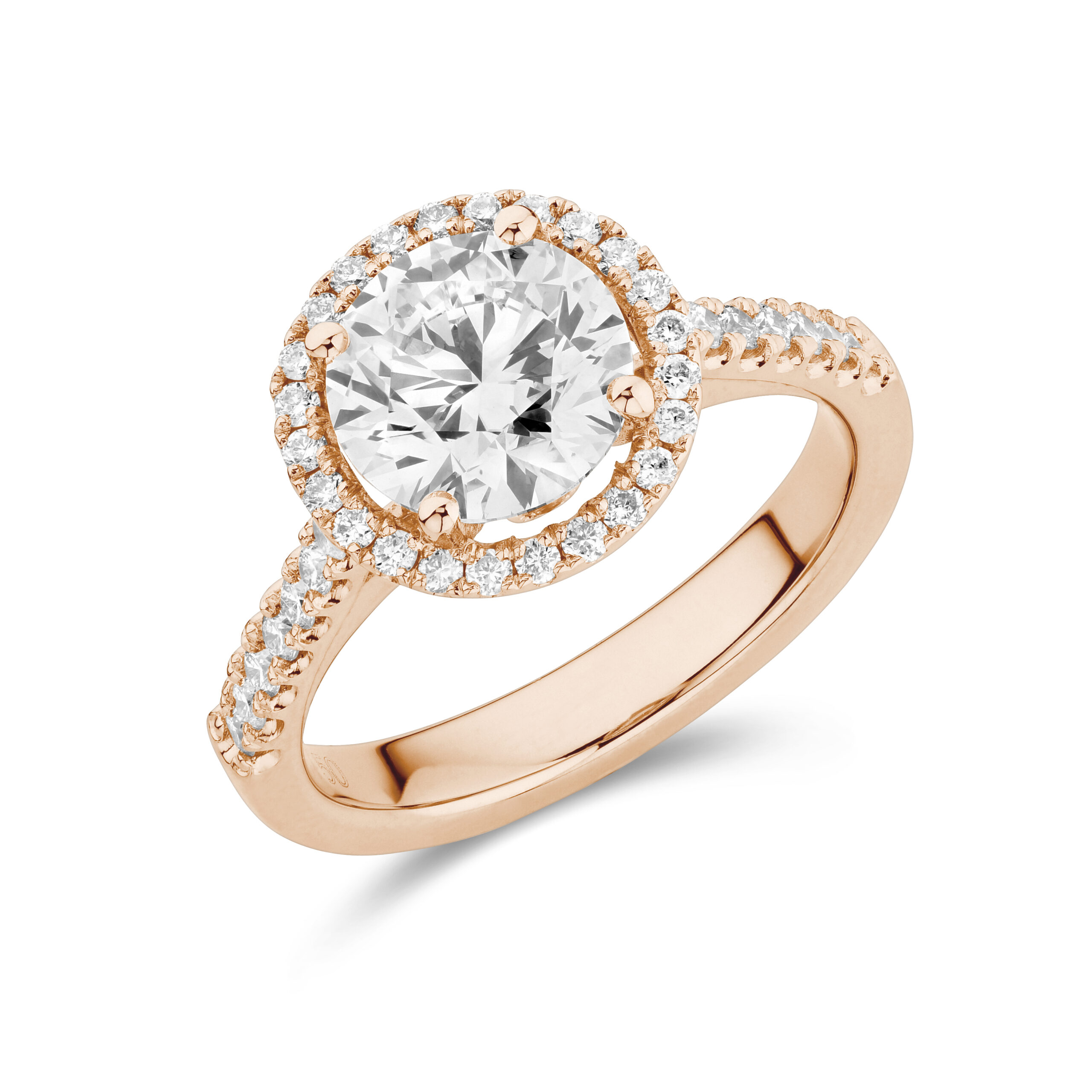 sd3101 Rose