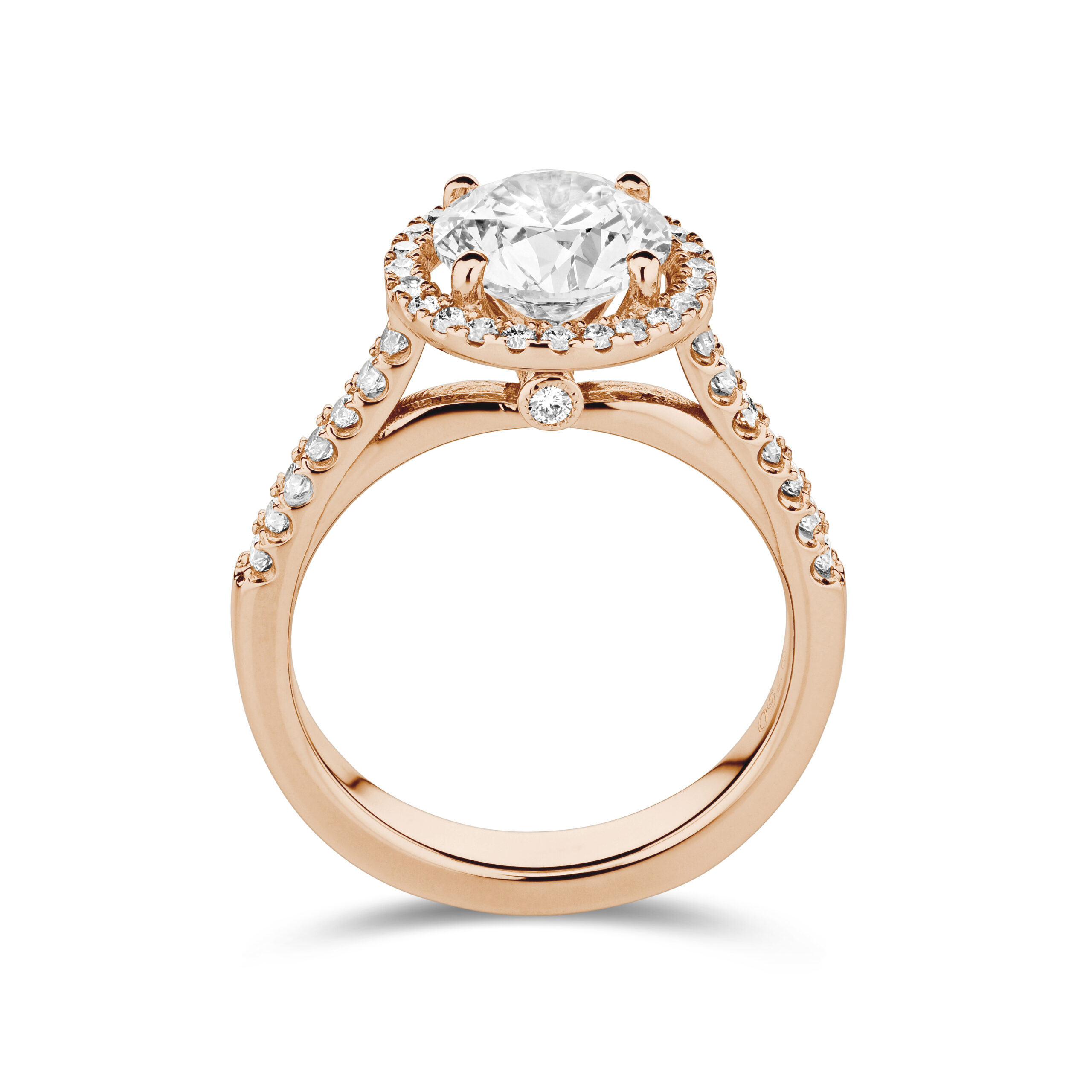 sd3101_2 Rose