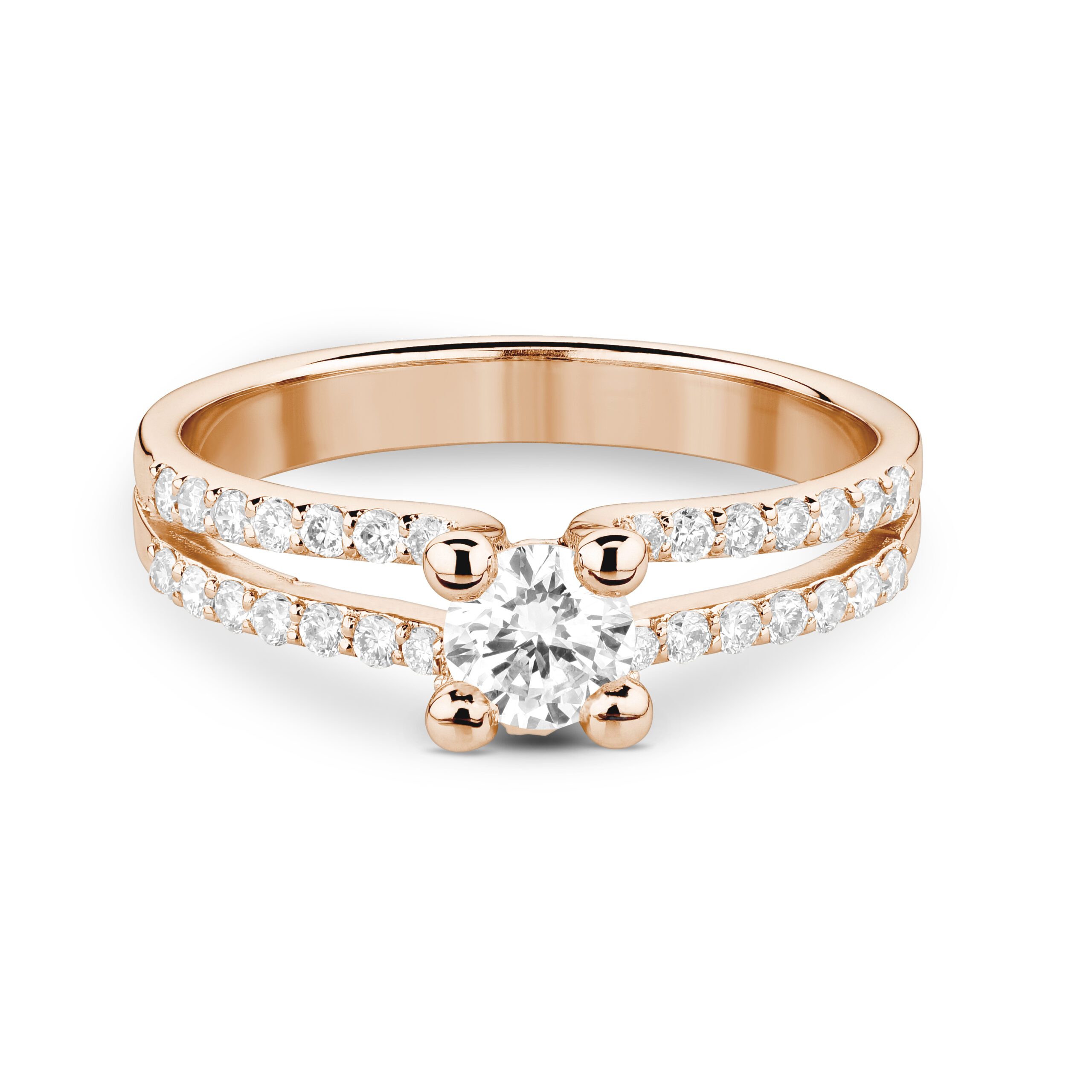 sd3127_3 Rose