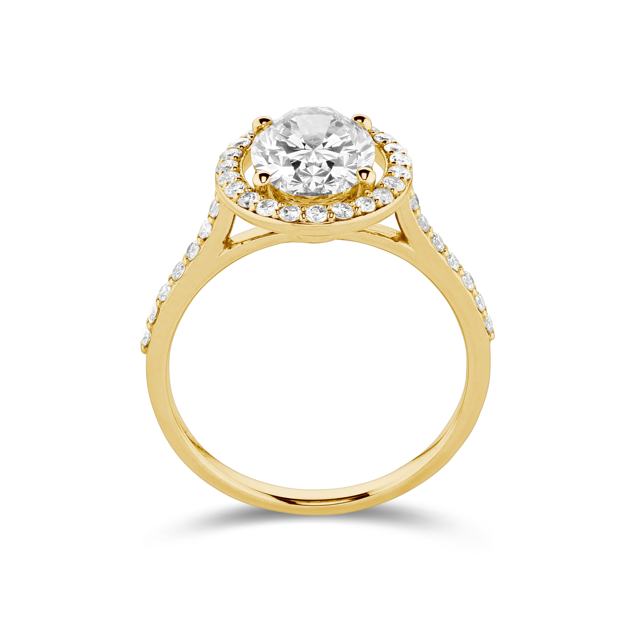 sd3141 yellow