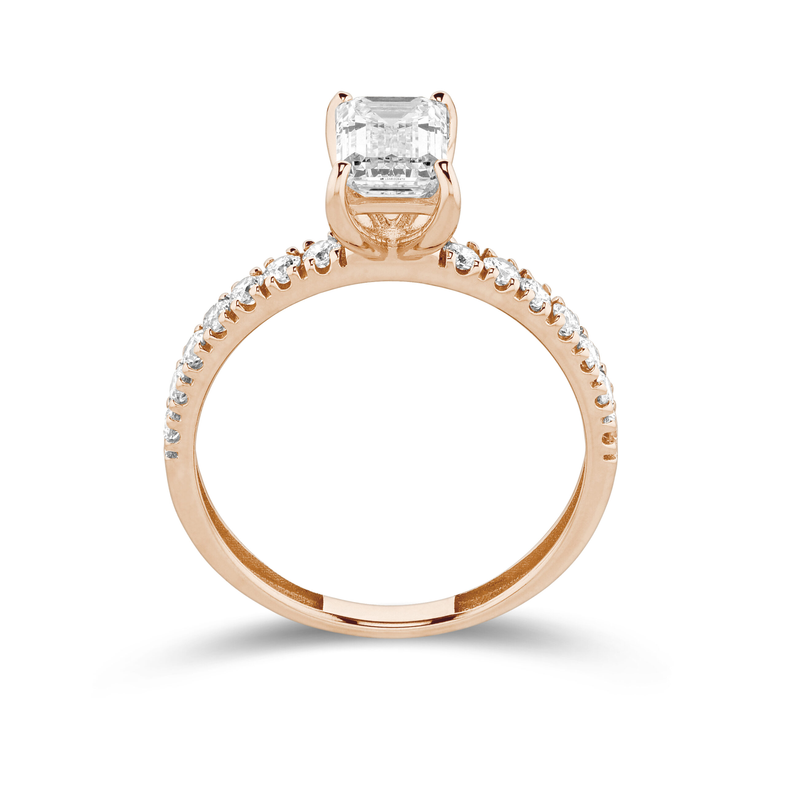sd3145 Rose (1)