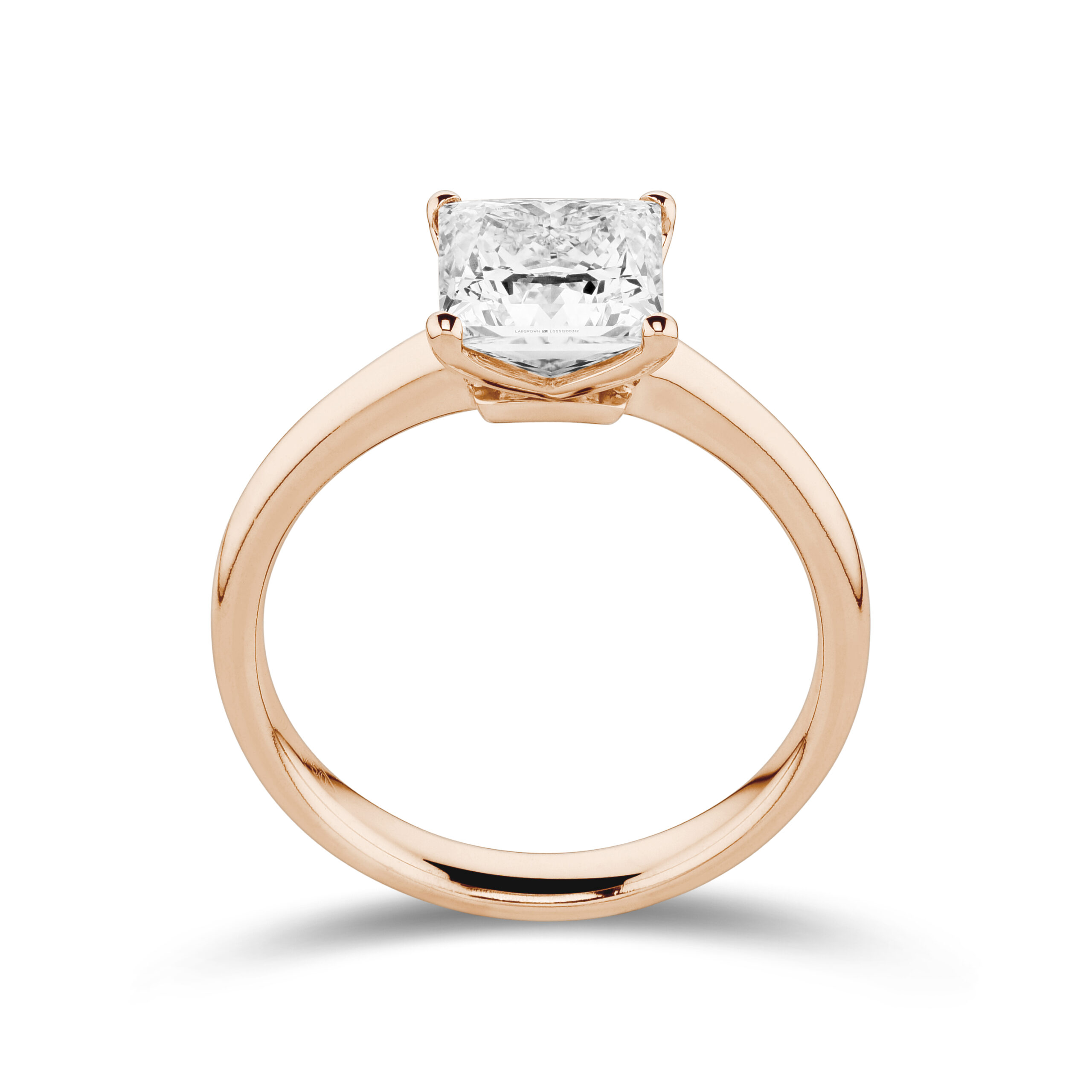 sd3146 Rose