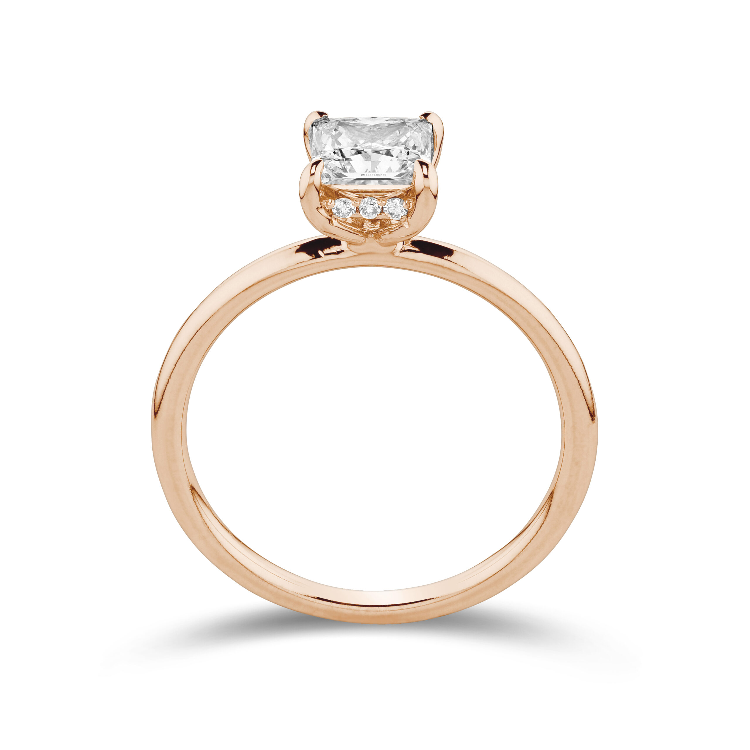 sd3148 Rose