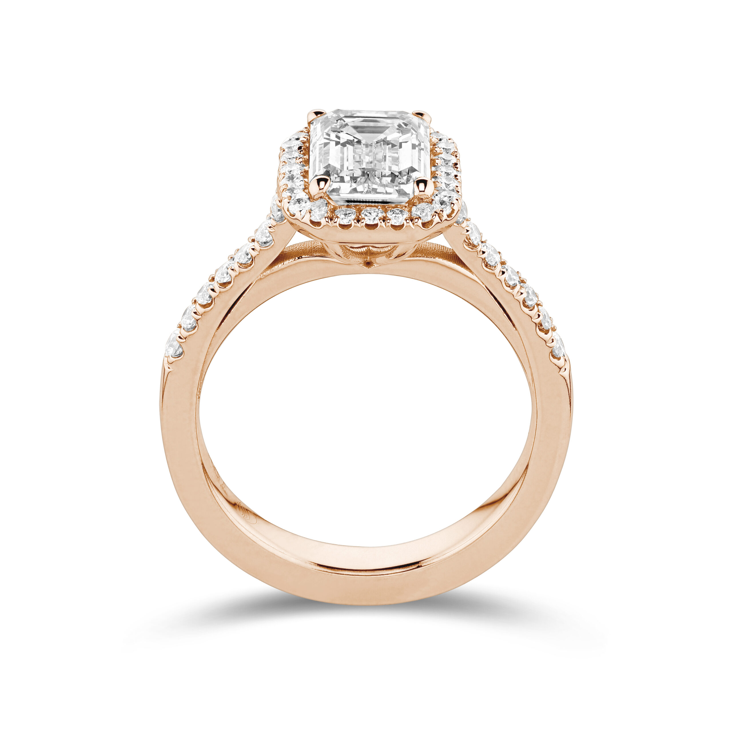 sd3149 Rose
