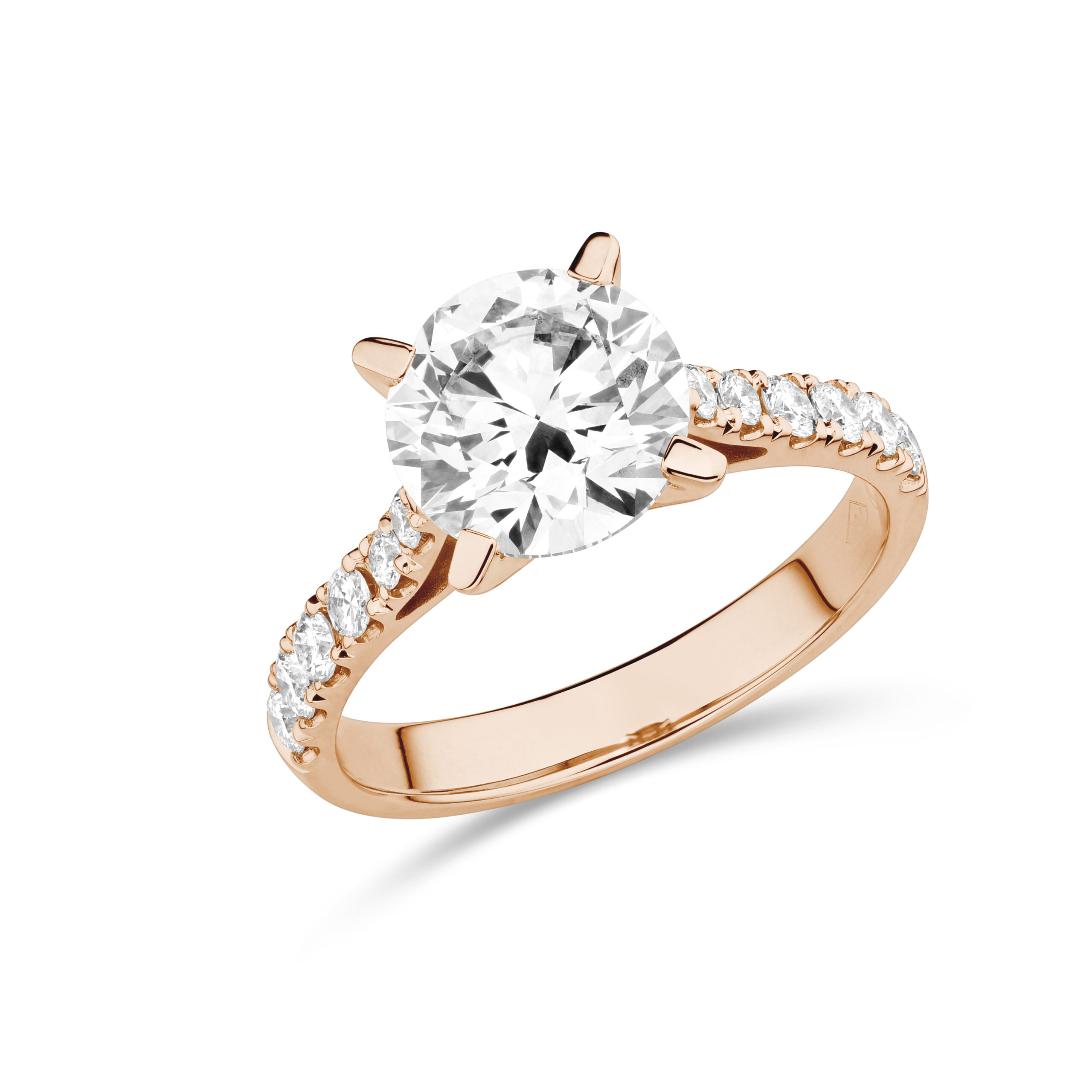 sd3157_2 Rose