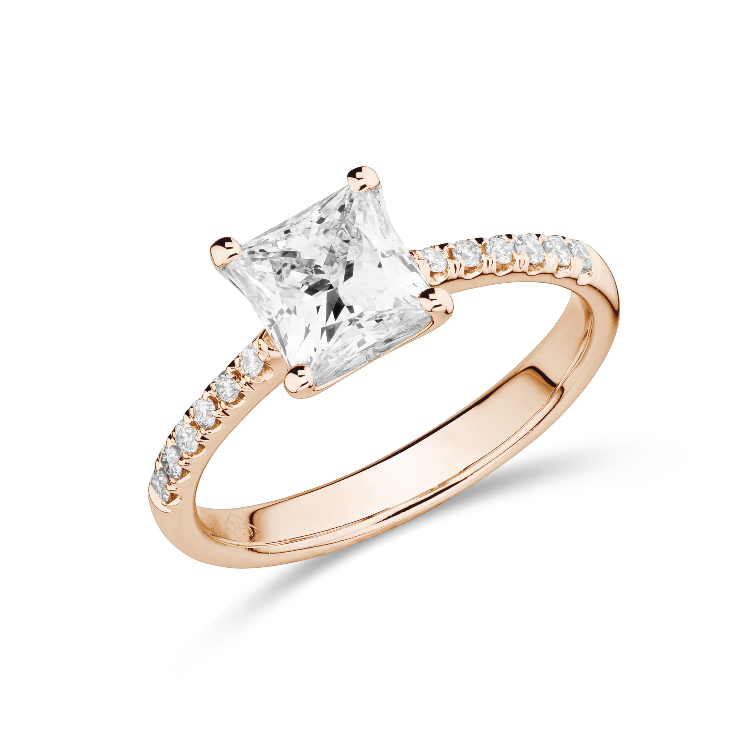 sd3162_2 Rose