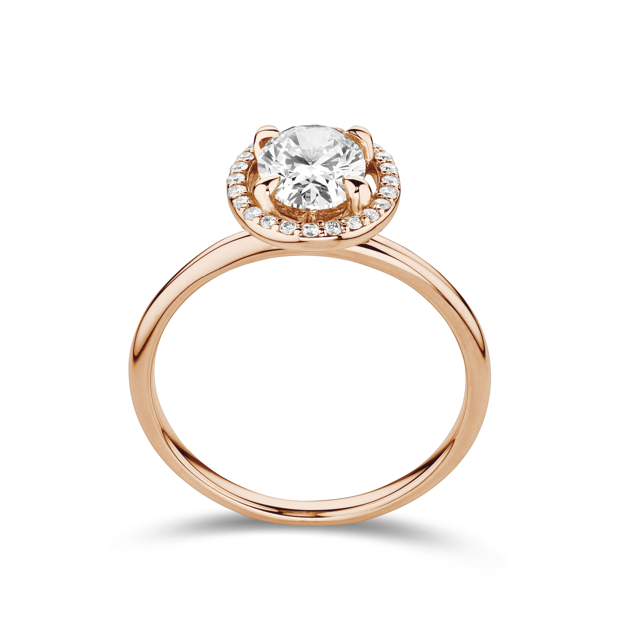 sd3163 Rose