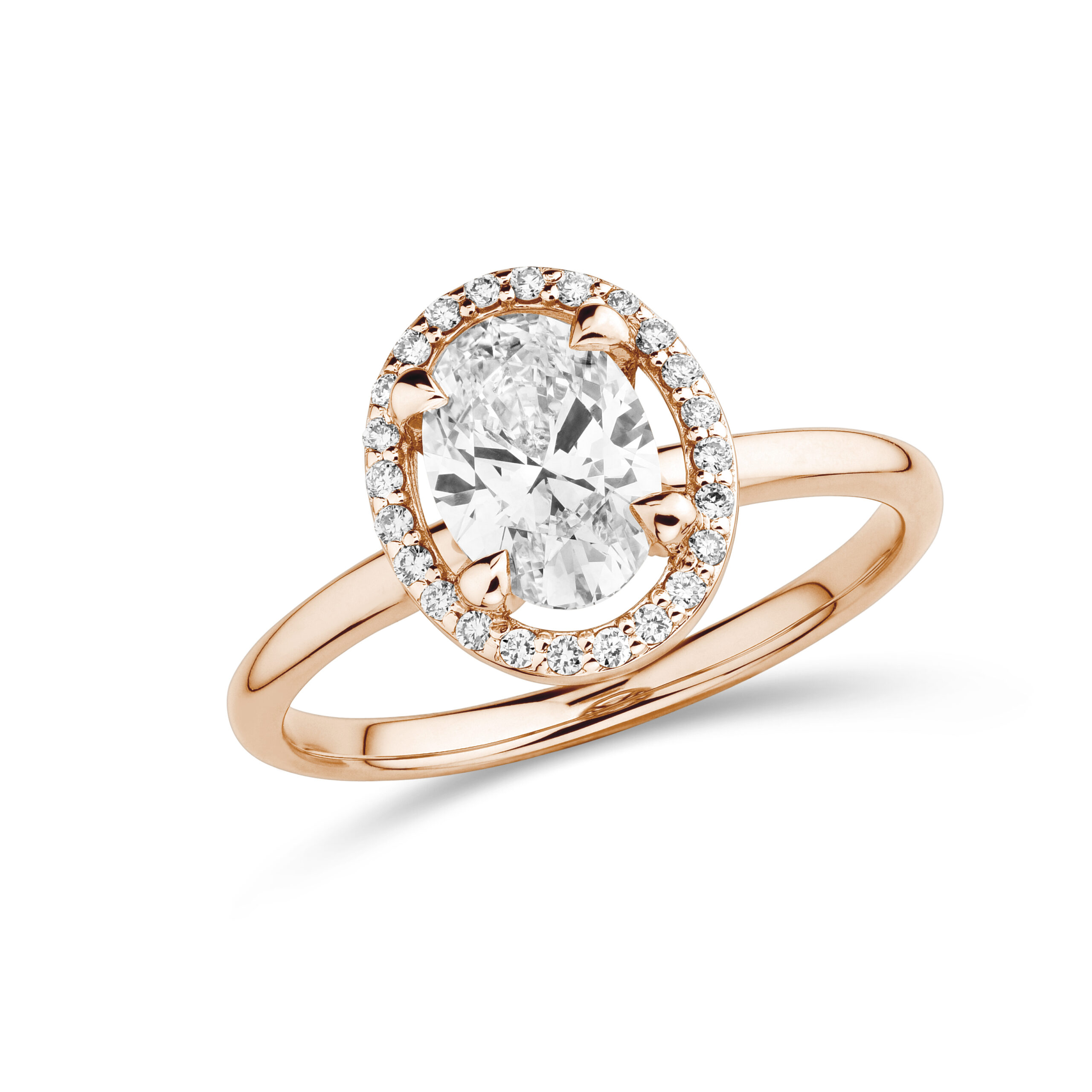 sd3163_2 Rose